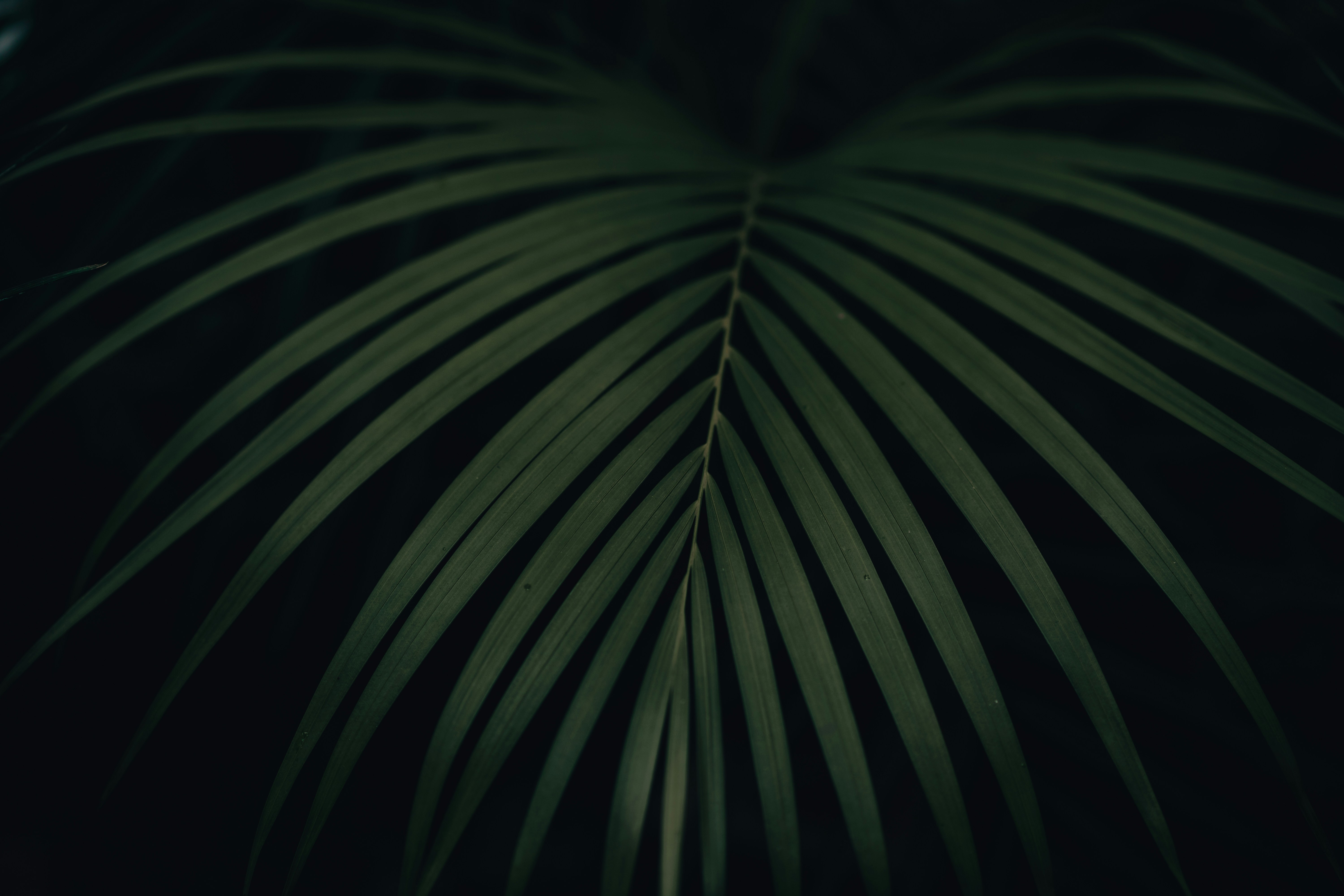 Photo by anamnesis33