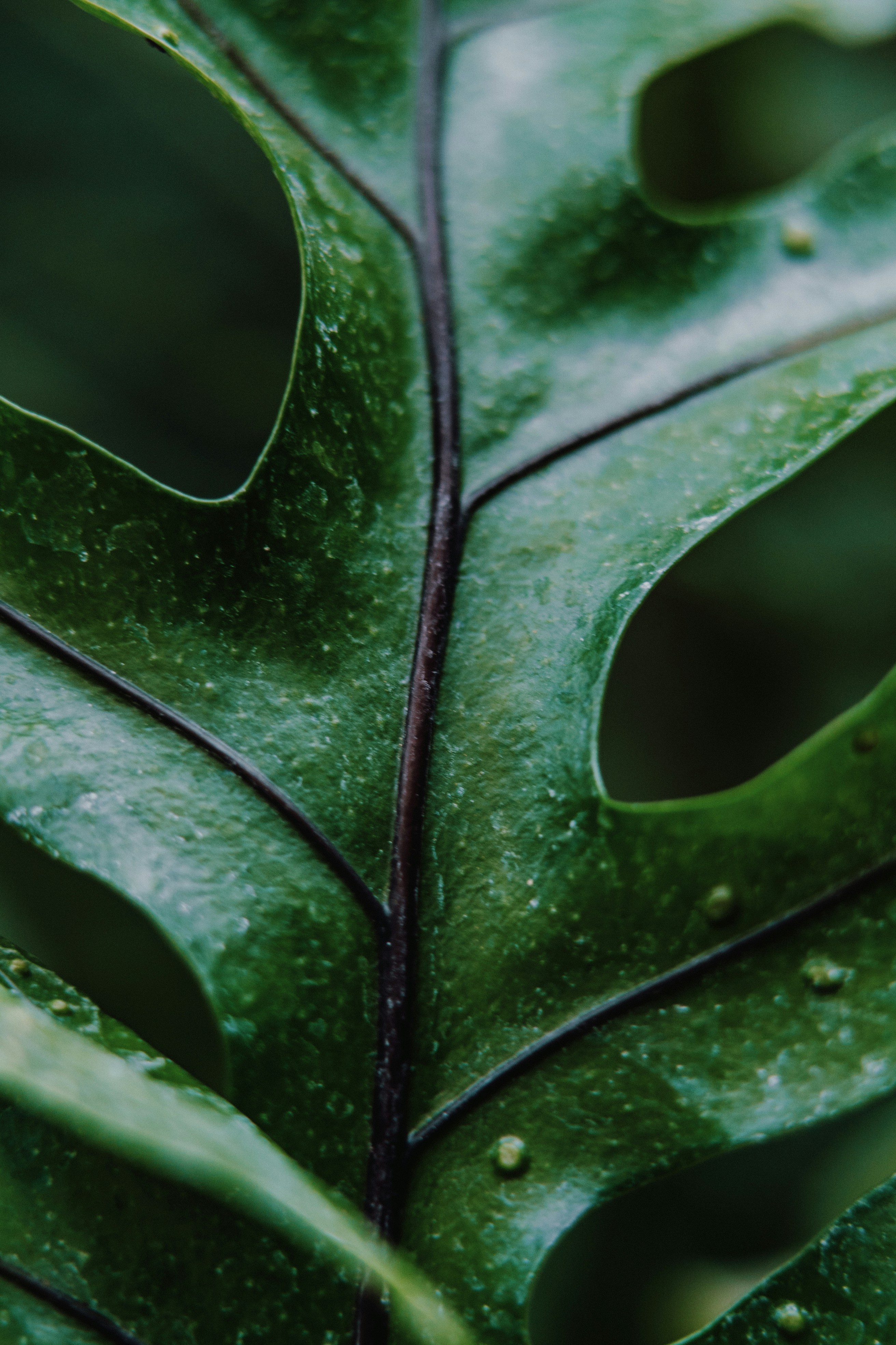 Photo by anamnesis33