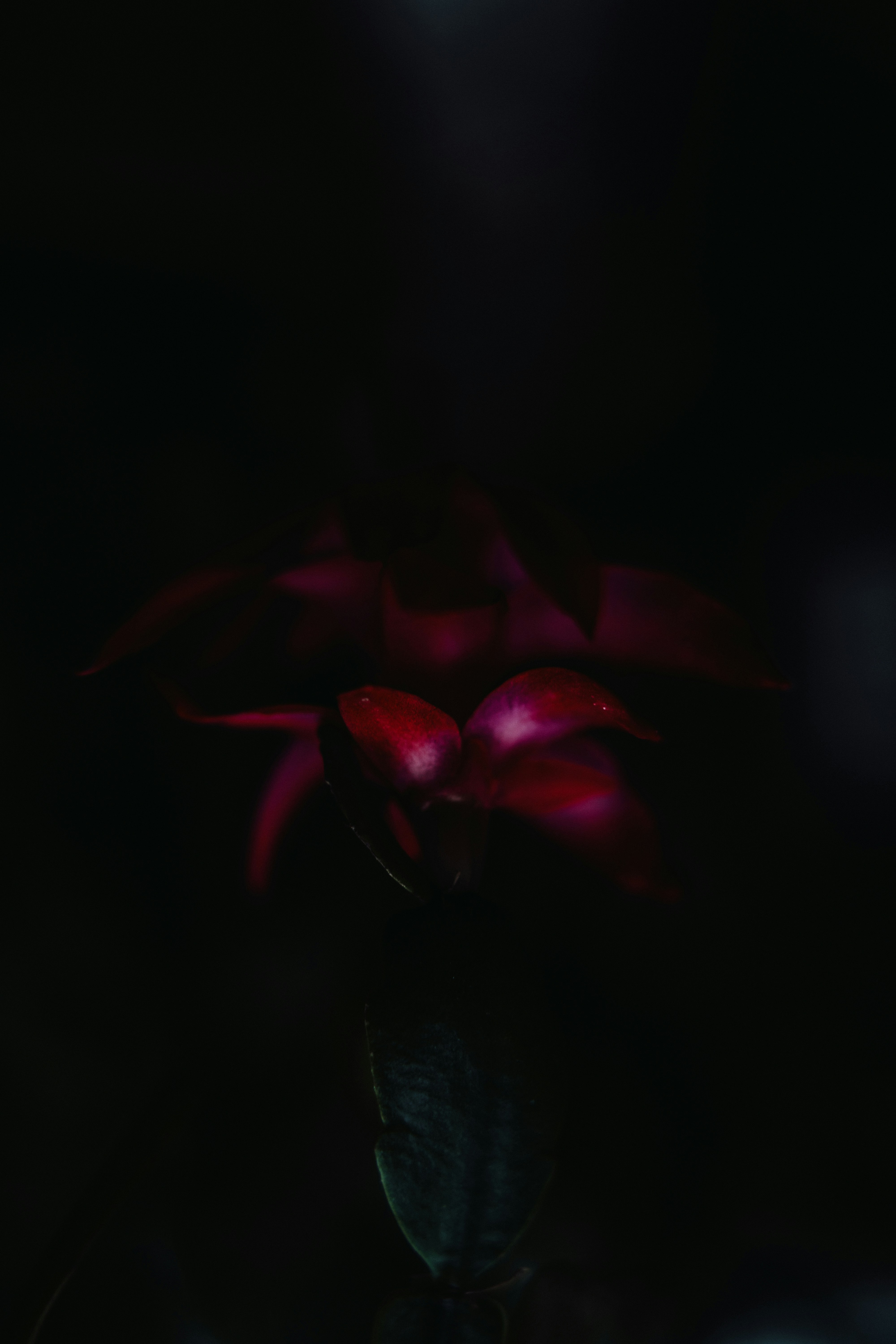 Photo by anamnesis33