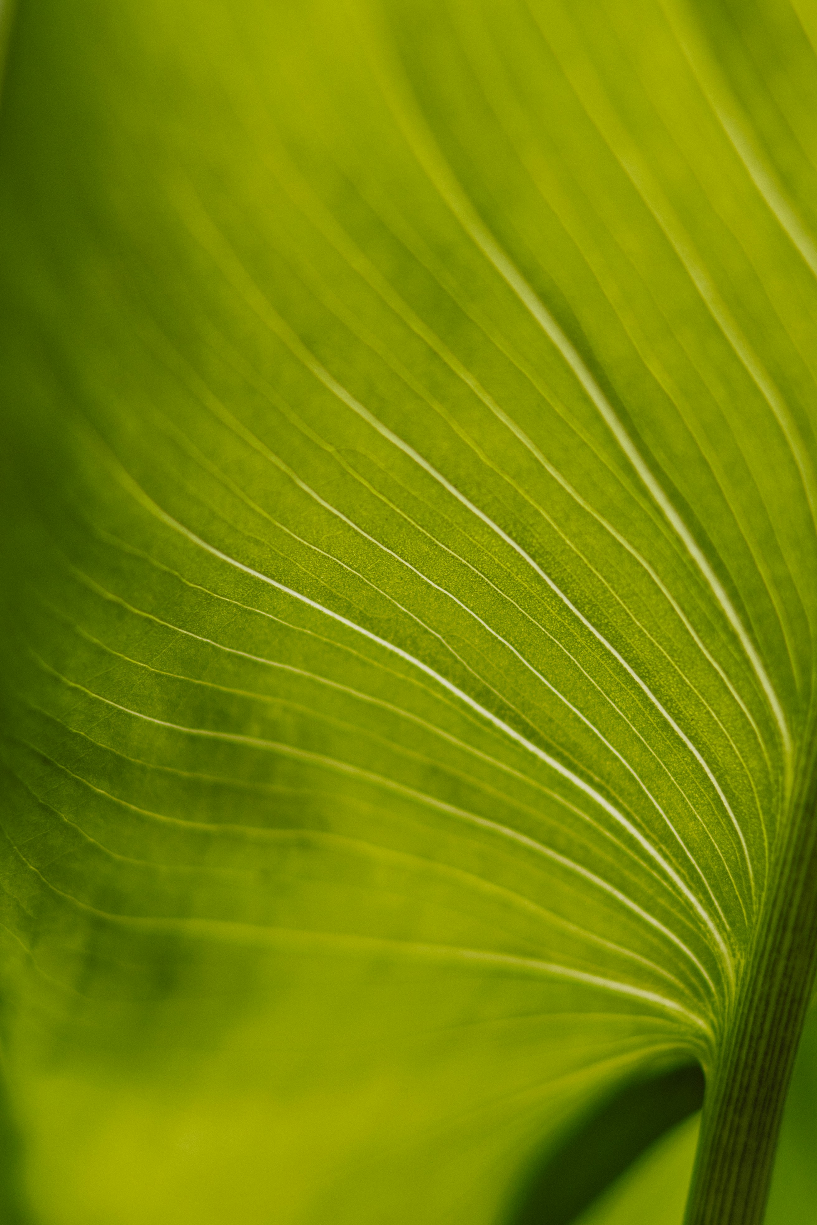 Photo by anamnesis33