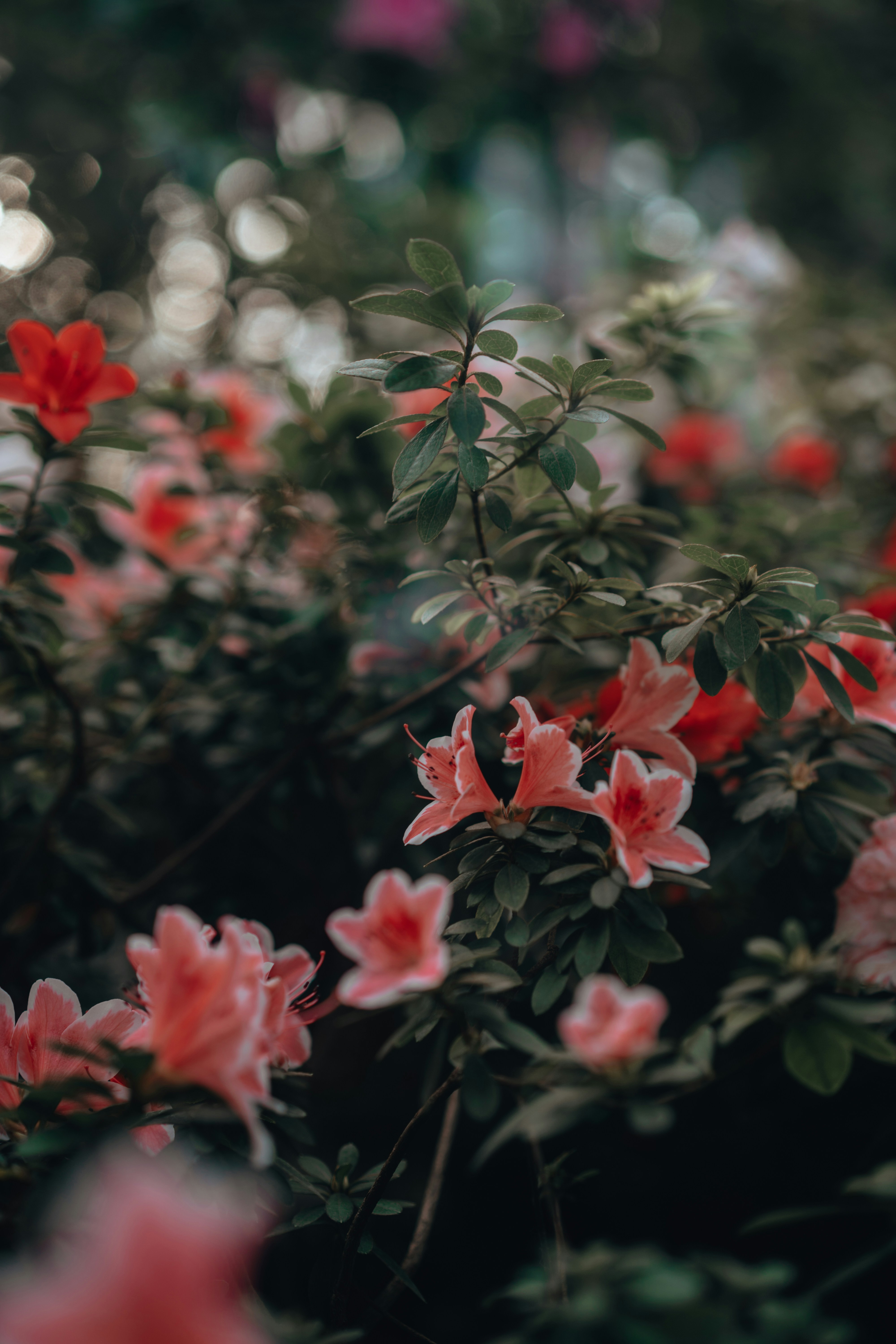 Photo by anamnesis33