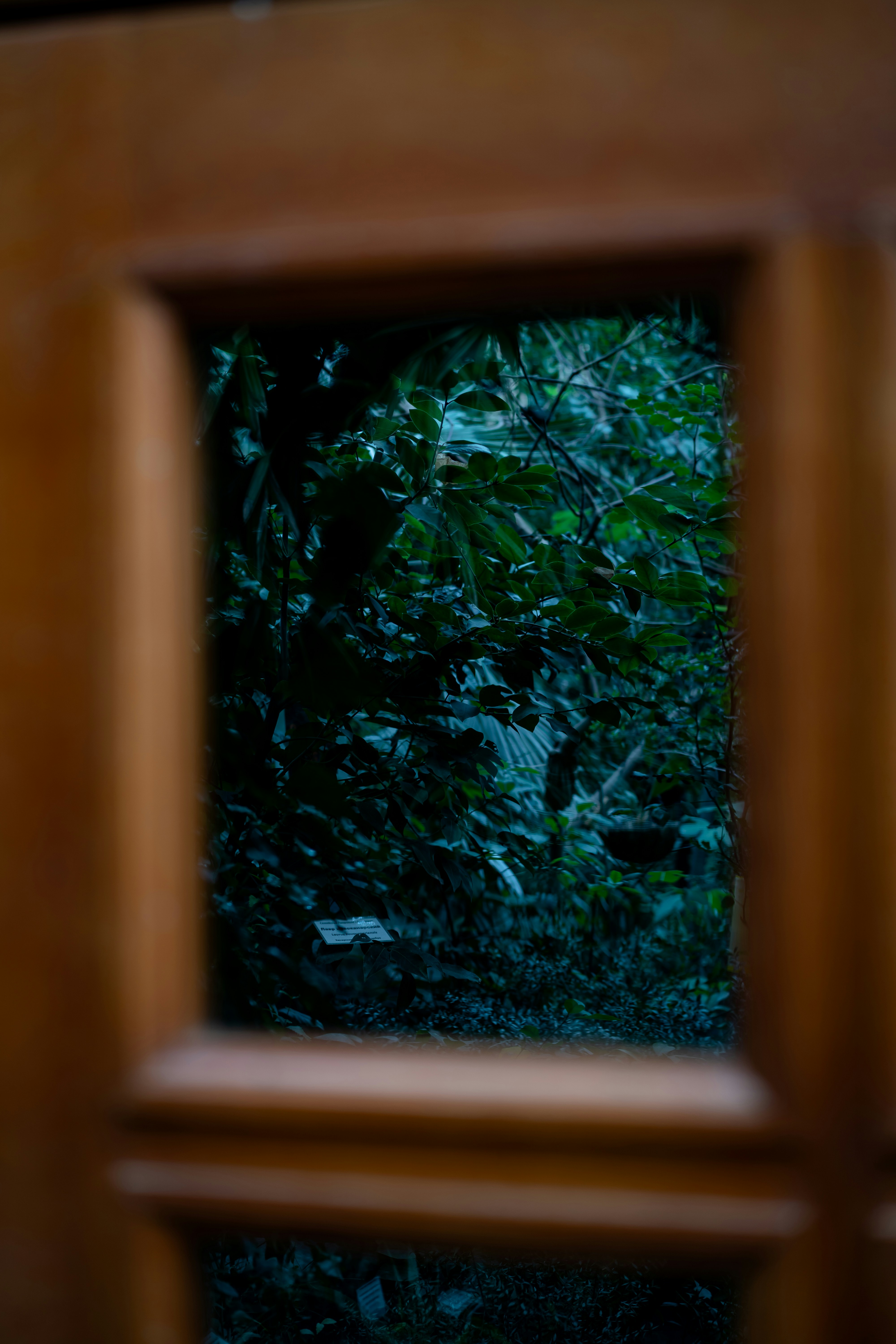 Photo by anamnesis33