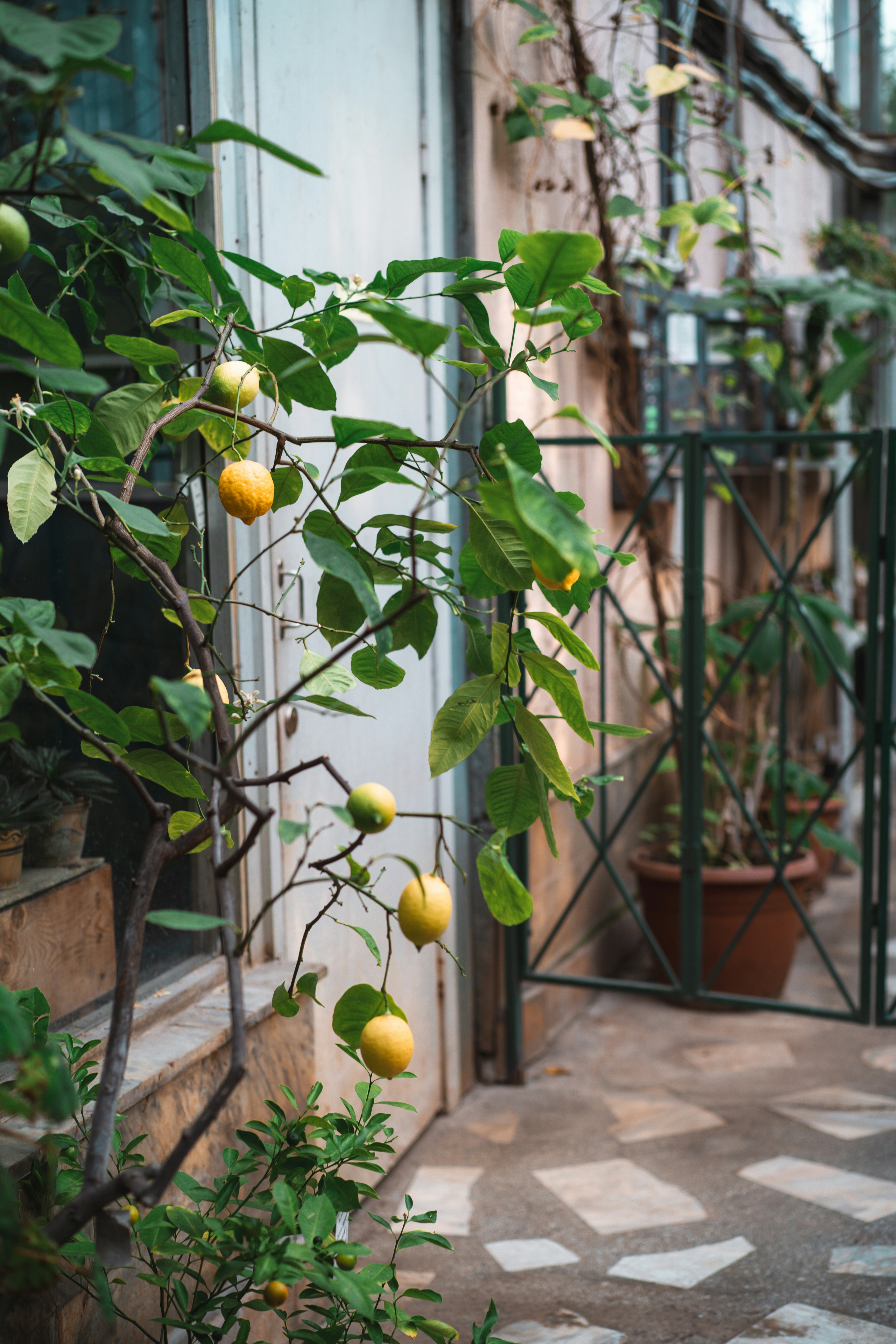 Photo by anamnesis33