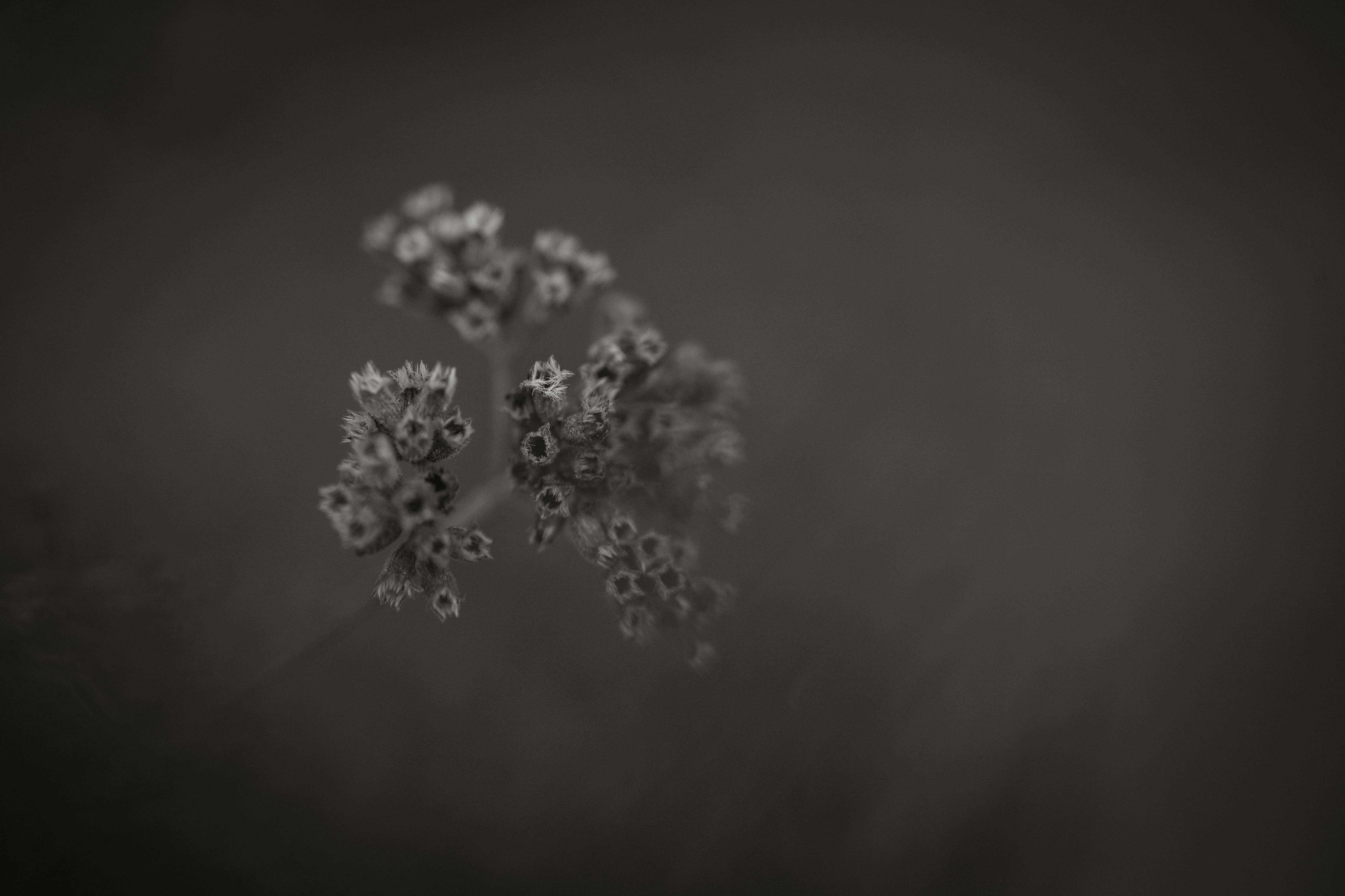 Stadtansicht Rosenheim