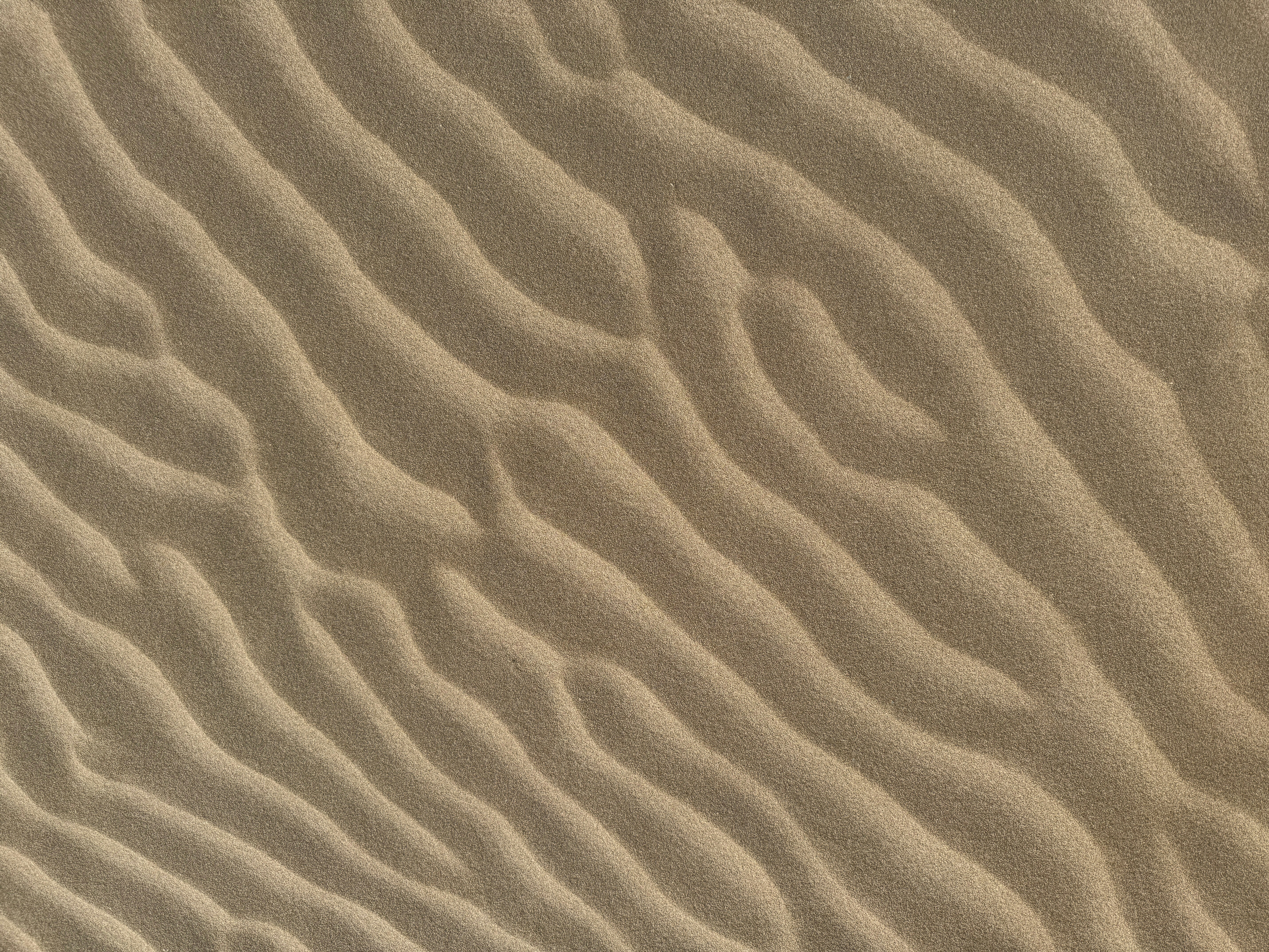 실비보험 병원비 청구 누락 항목에 대한 깊이 있는 탐구