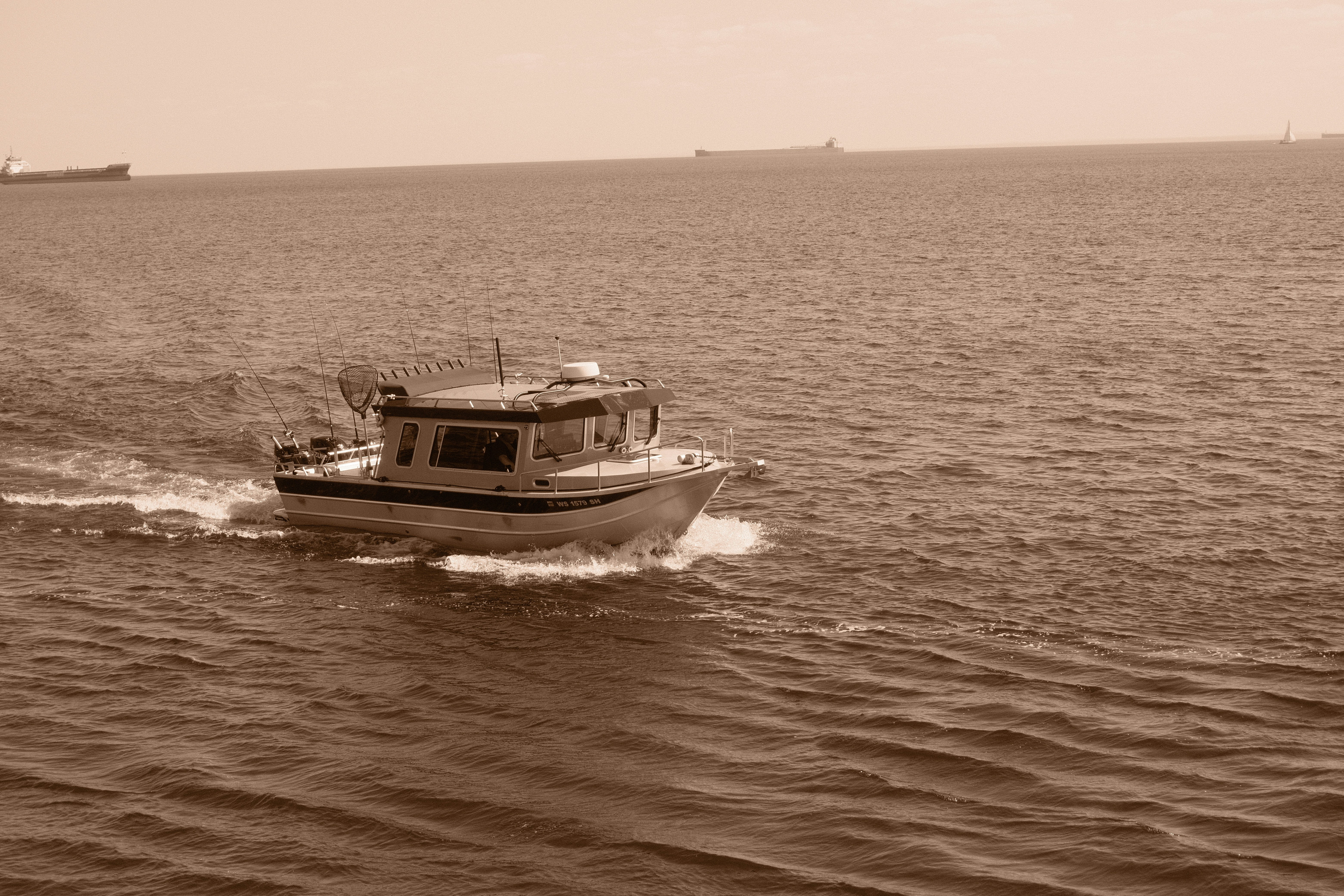 The "Controversies" Section