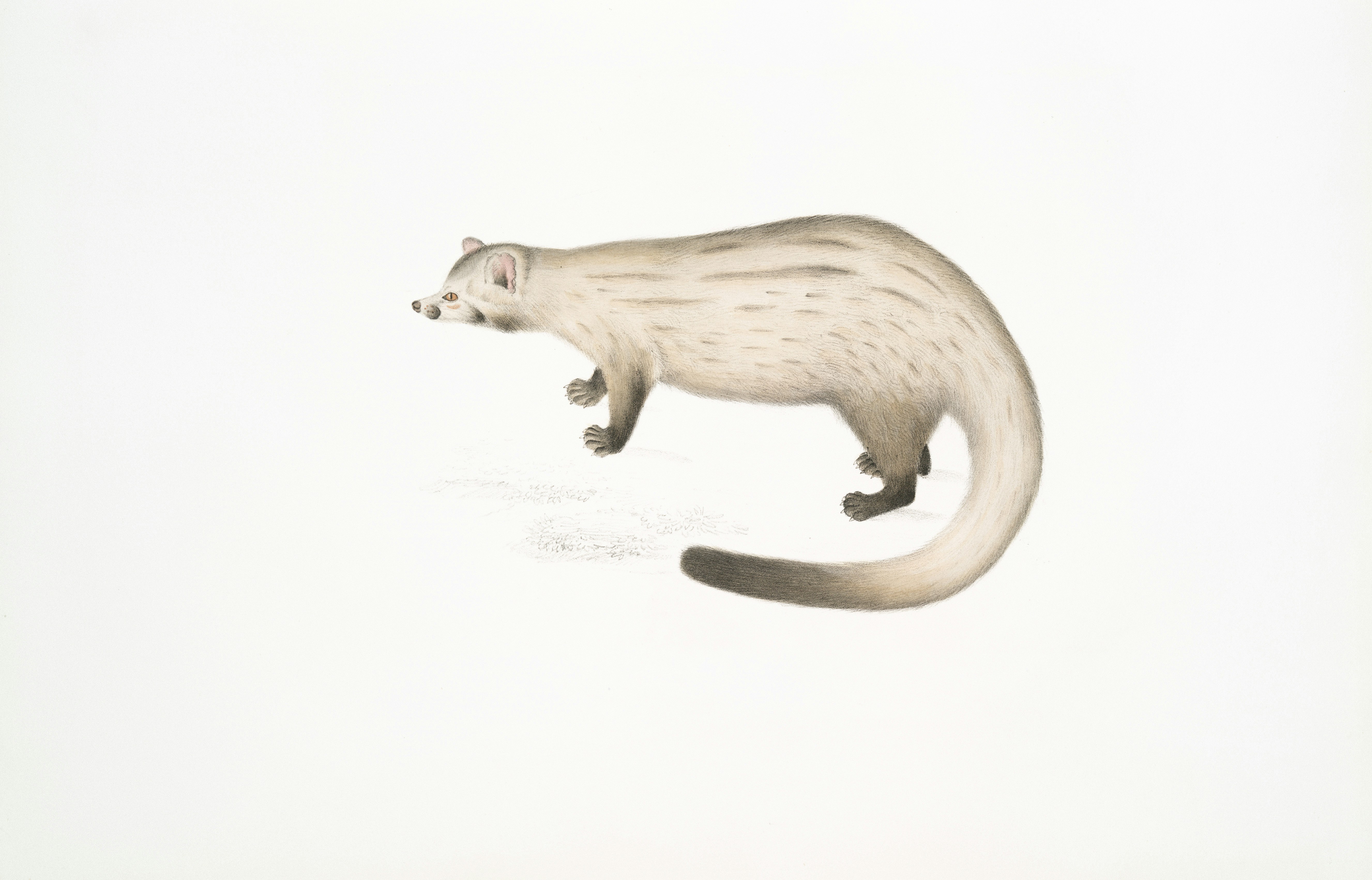 마우스오버로 살아나는 Plotly 차트  실전 예시 공개