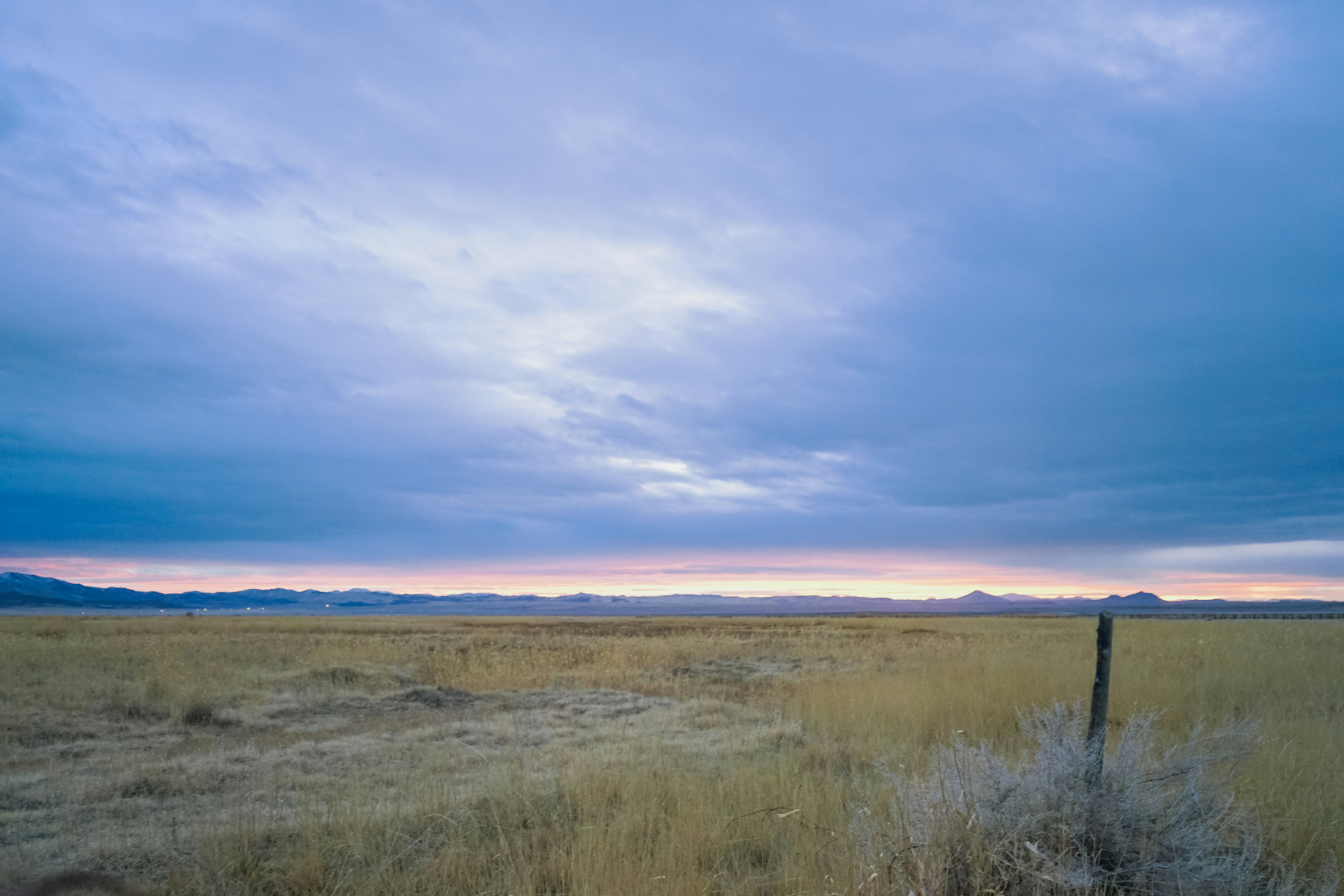 Photo by wonderwallphotos