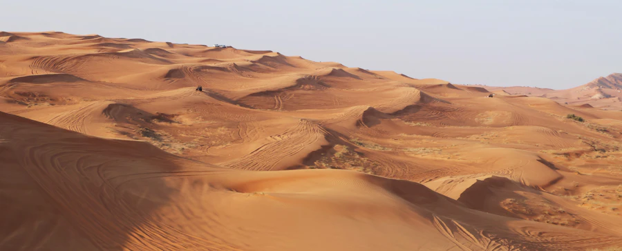 Camel ride in the Dubai desert