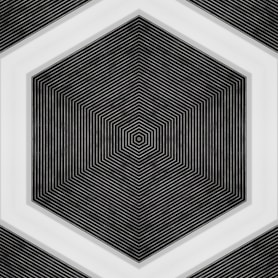 A black and white photo of a hexagonal object