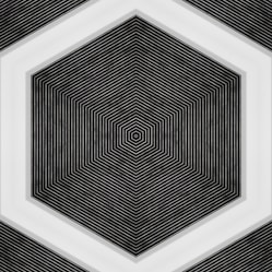 A black and white photo of a hexagonal object