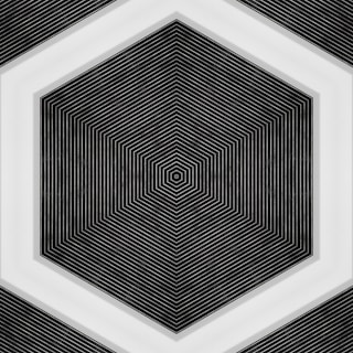 A black and white photo of a hexagonal object