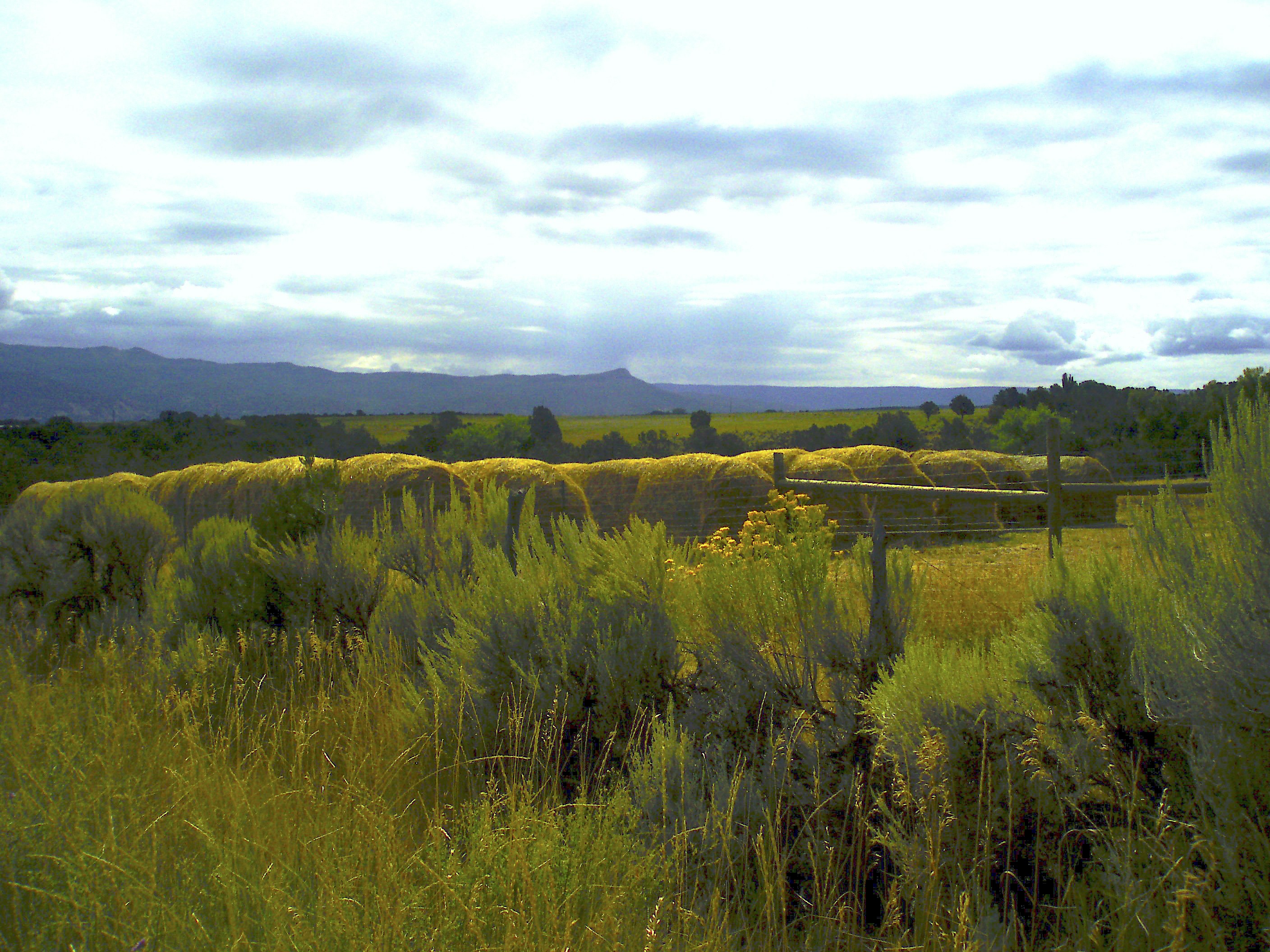 A grassy field with a wooden bench in the middle of it