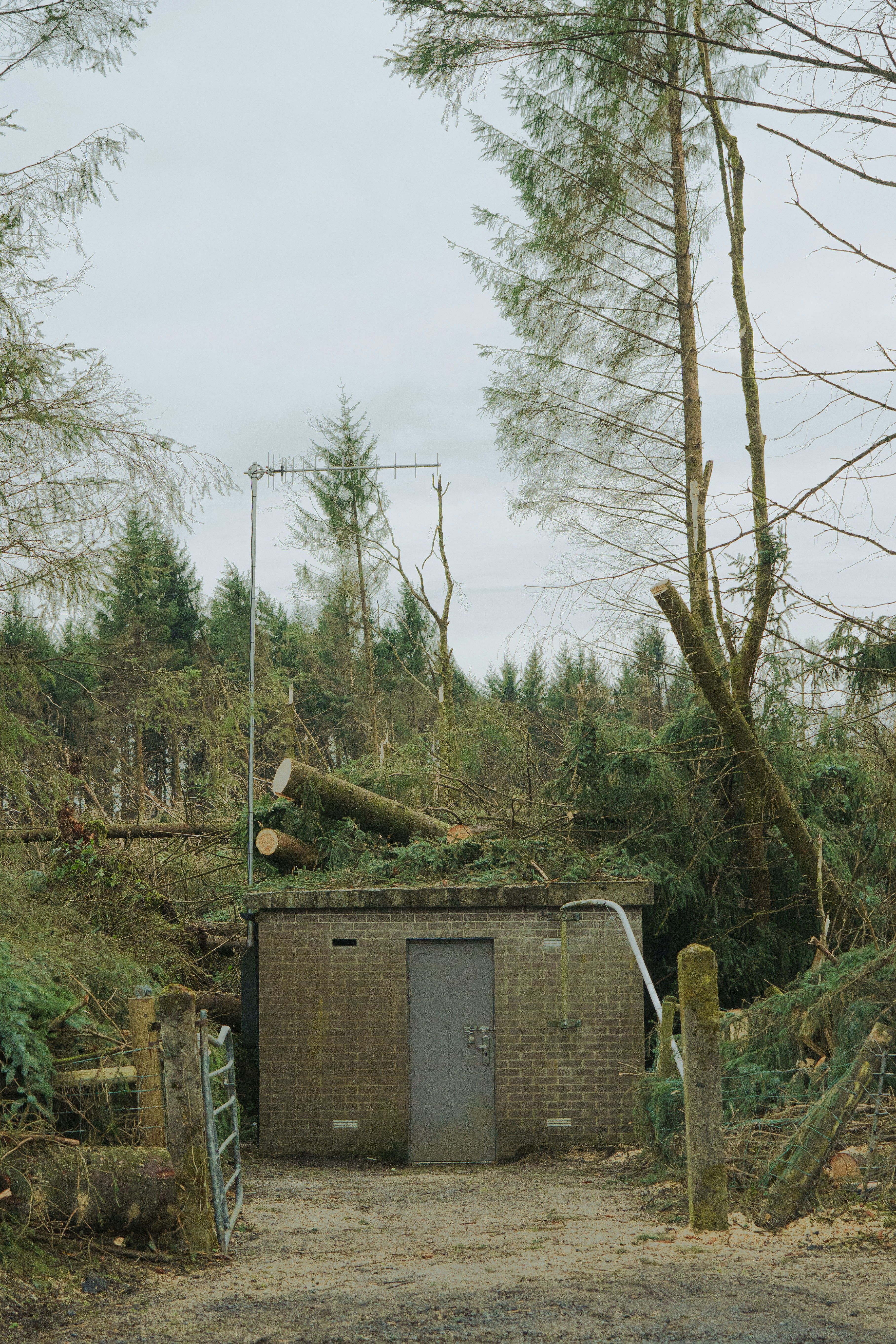 숲 한가운데에 위치한 작은 별채