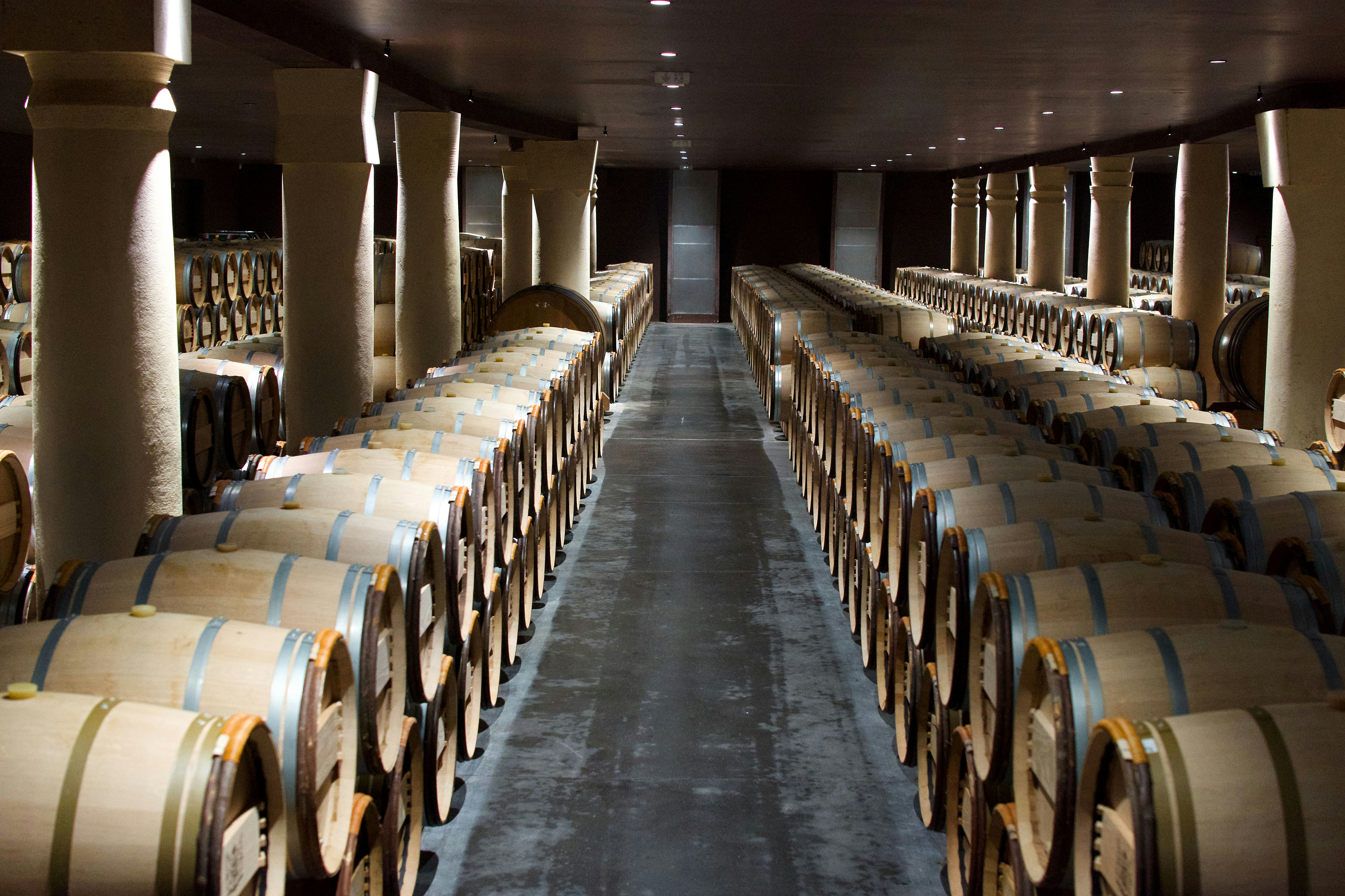 A large room filled with lots of wine barrels