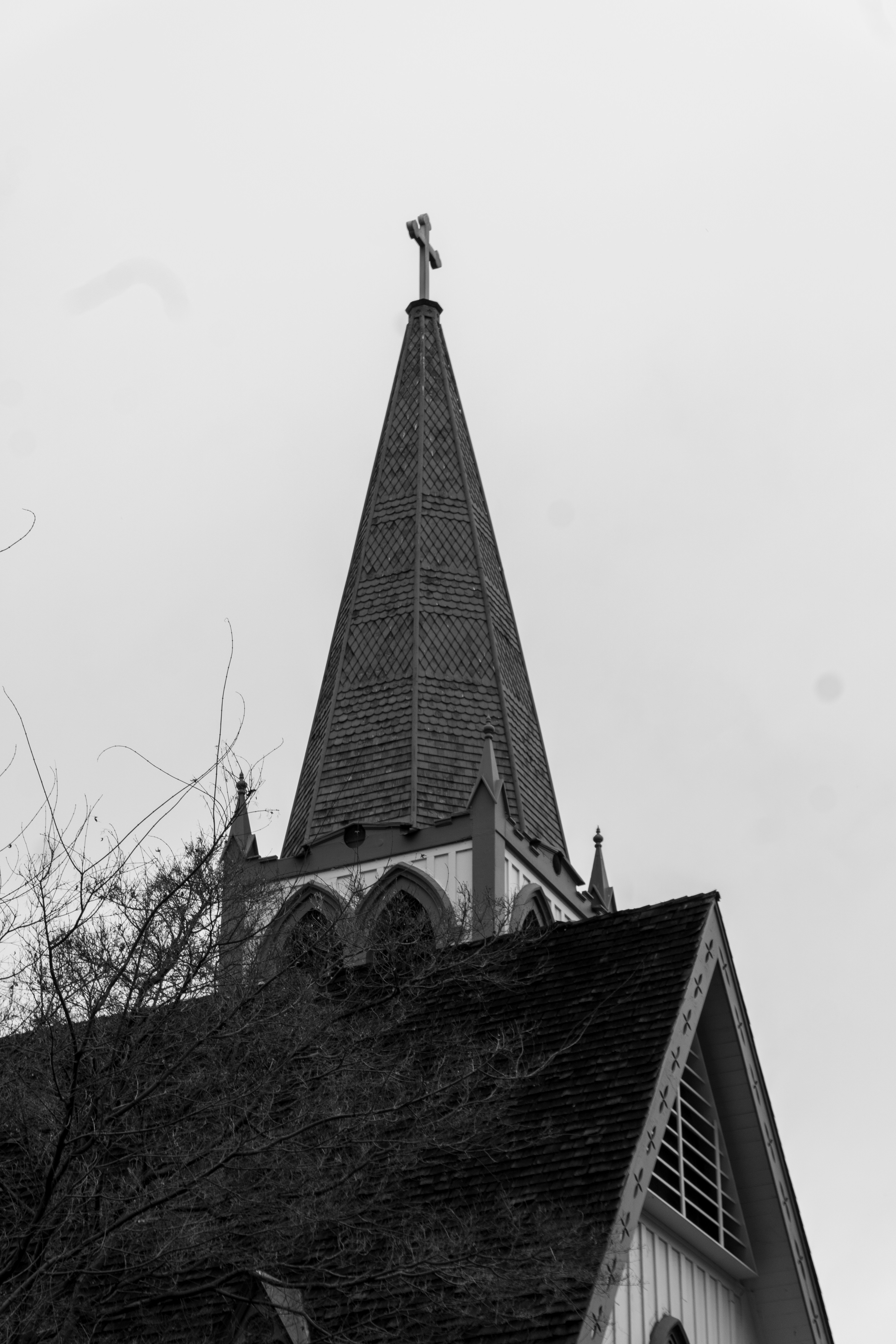 Photo by naveenketterer