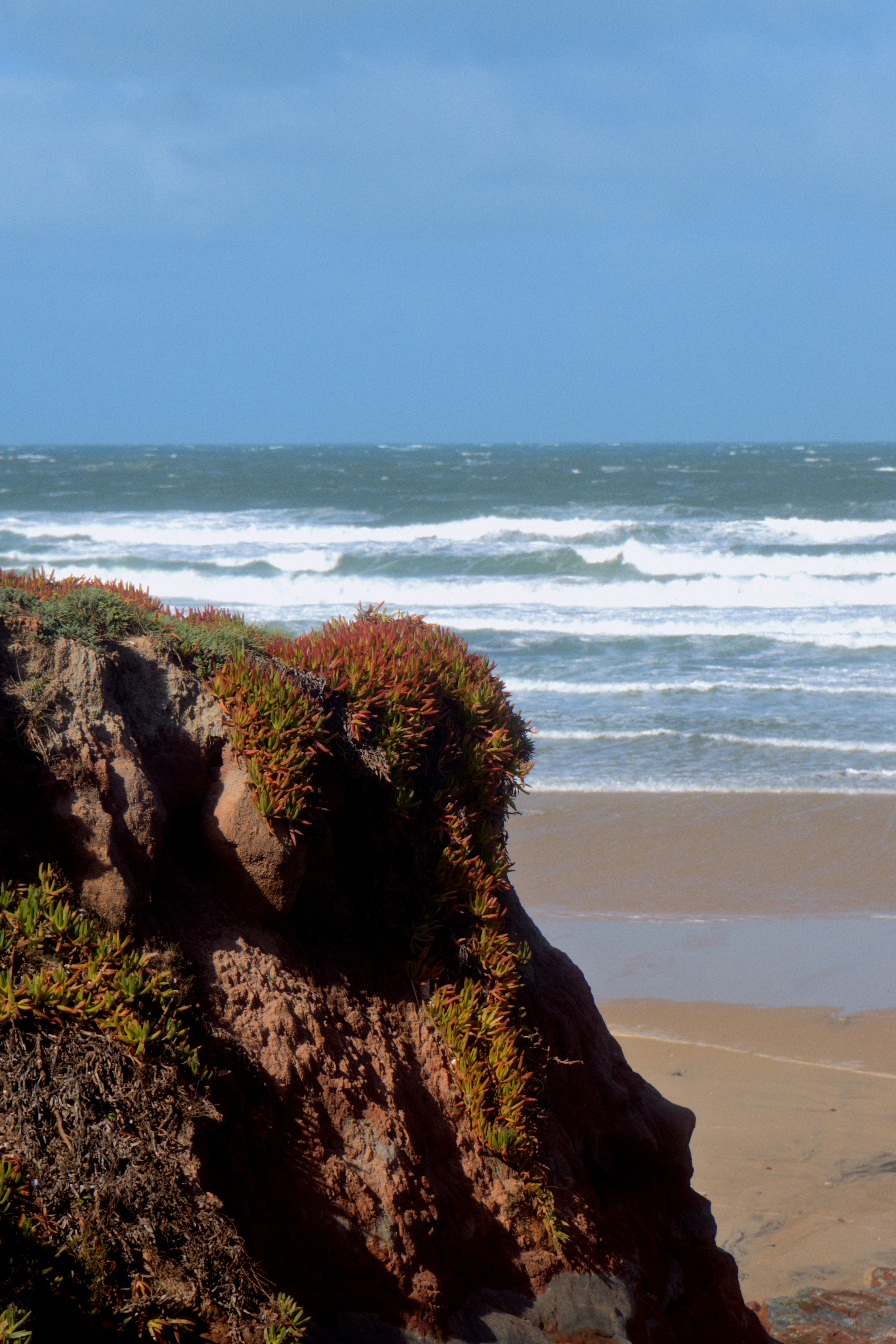 Photo by astashov_artem