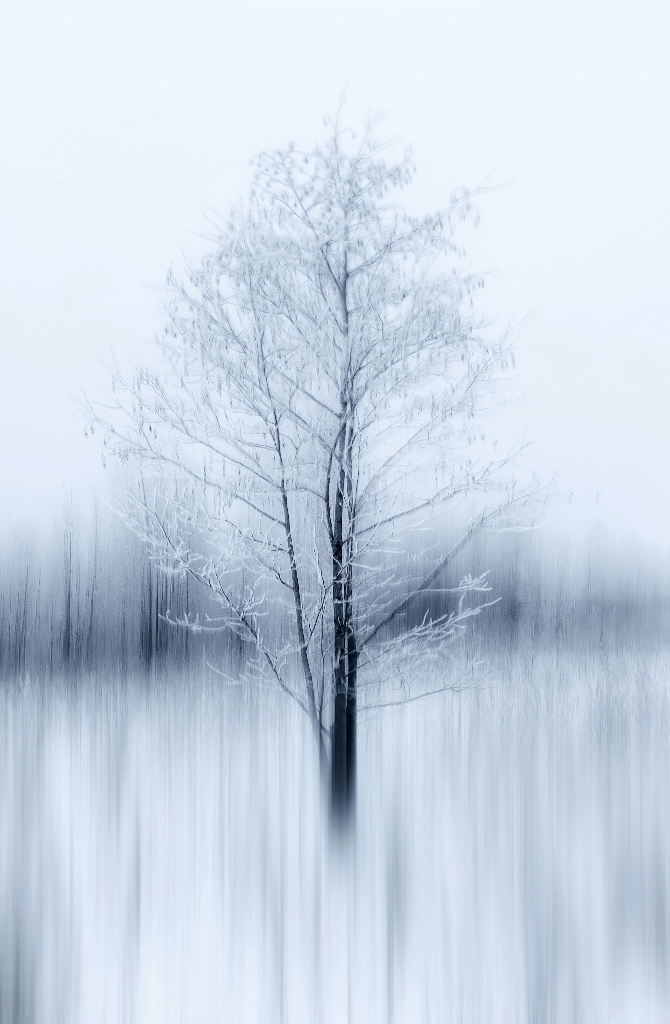 Photo by eugene_golovesov