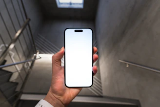A person holding a cell phone in their hand