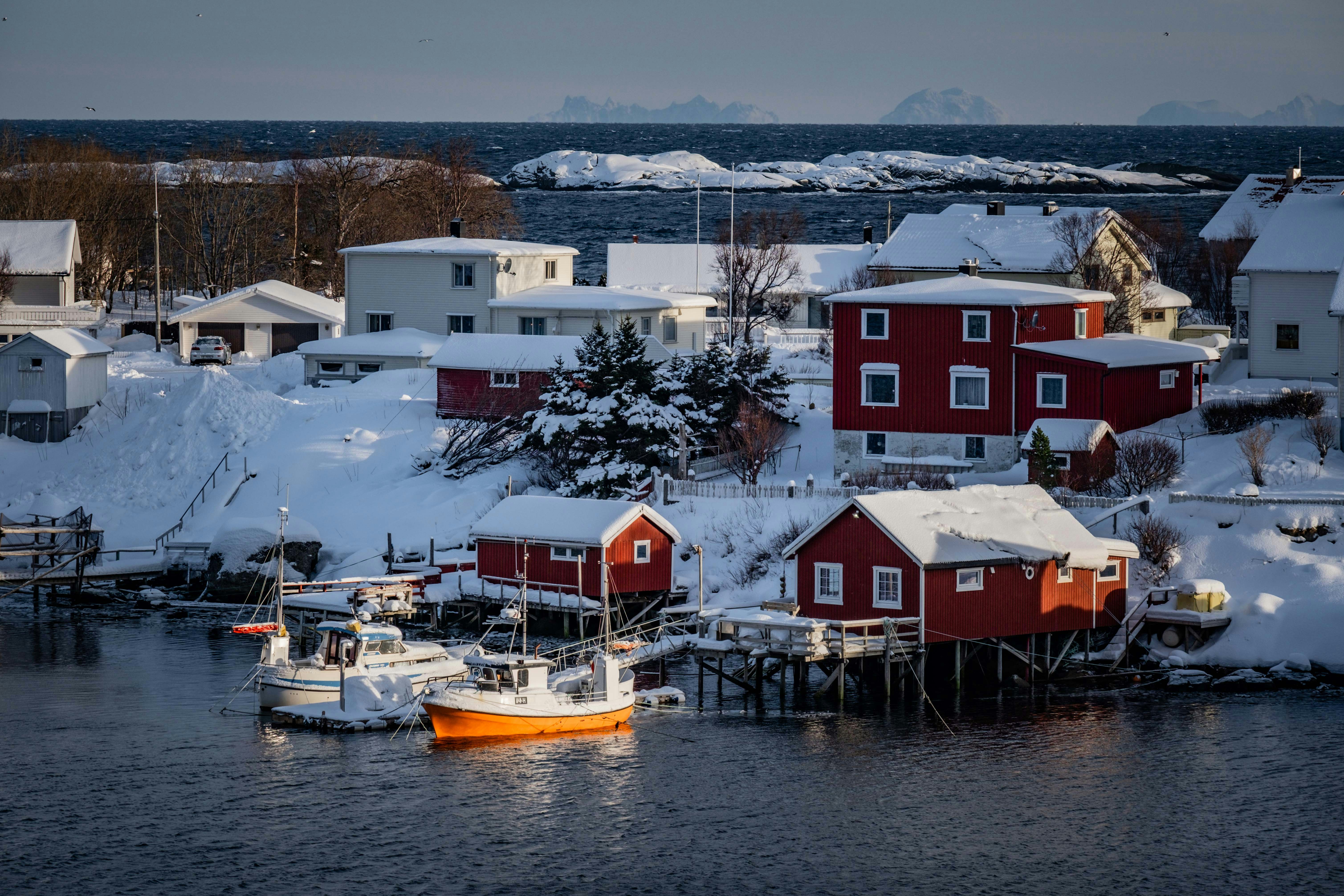 Photo by francesco_ungaro