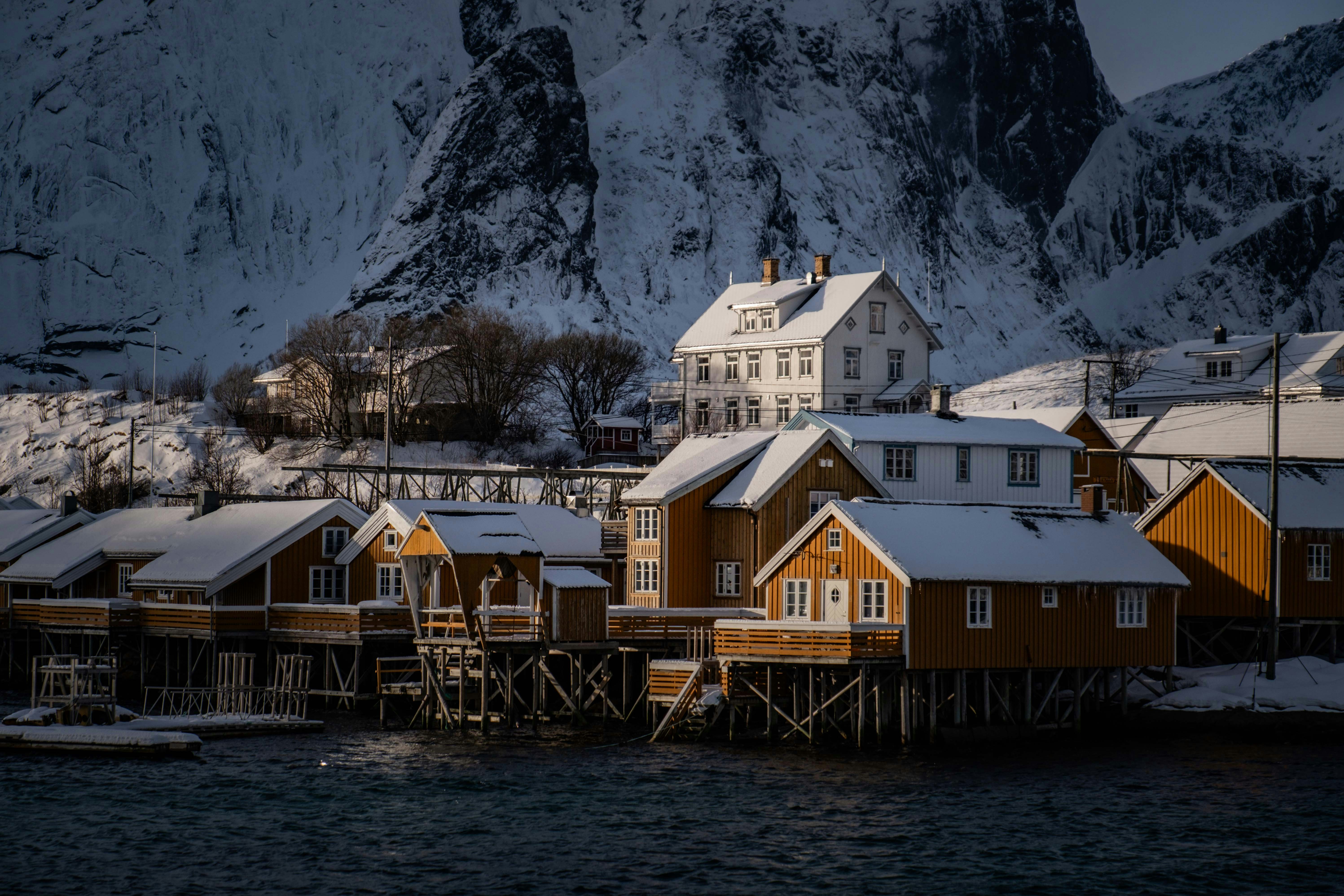 Photo by francesco_ungaro