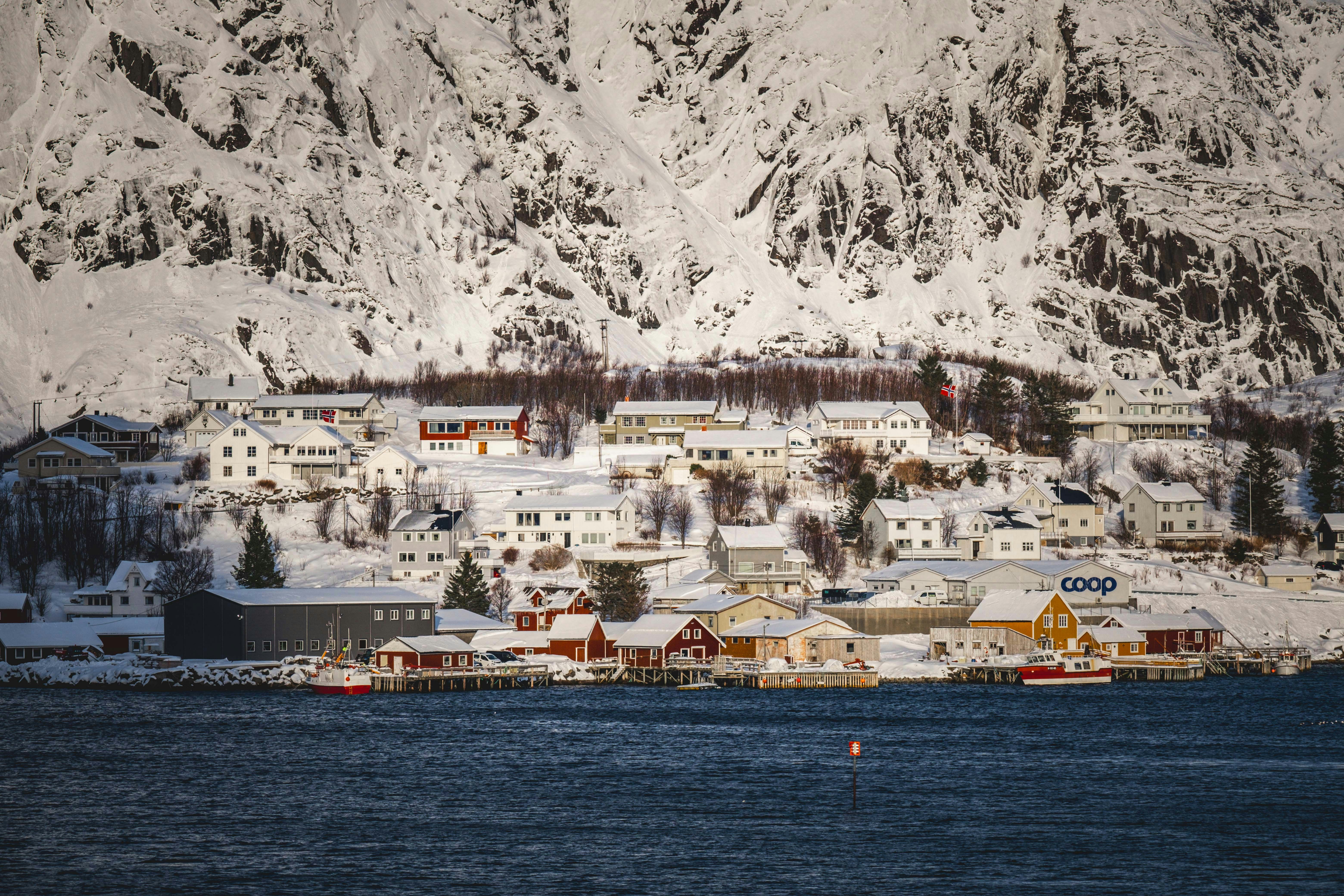 Photo by francesco_ungaro