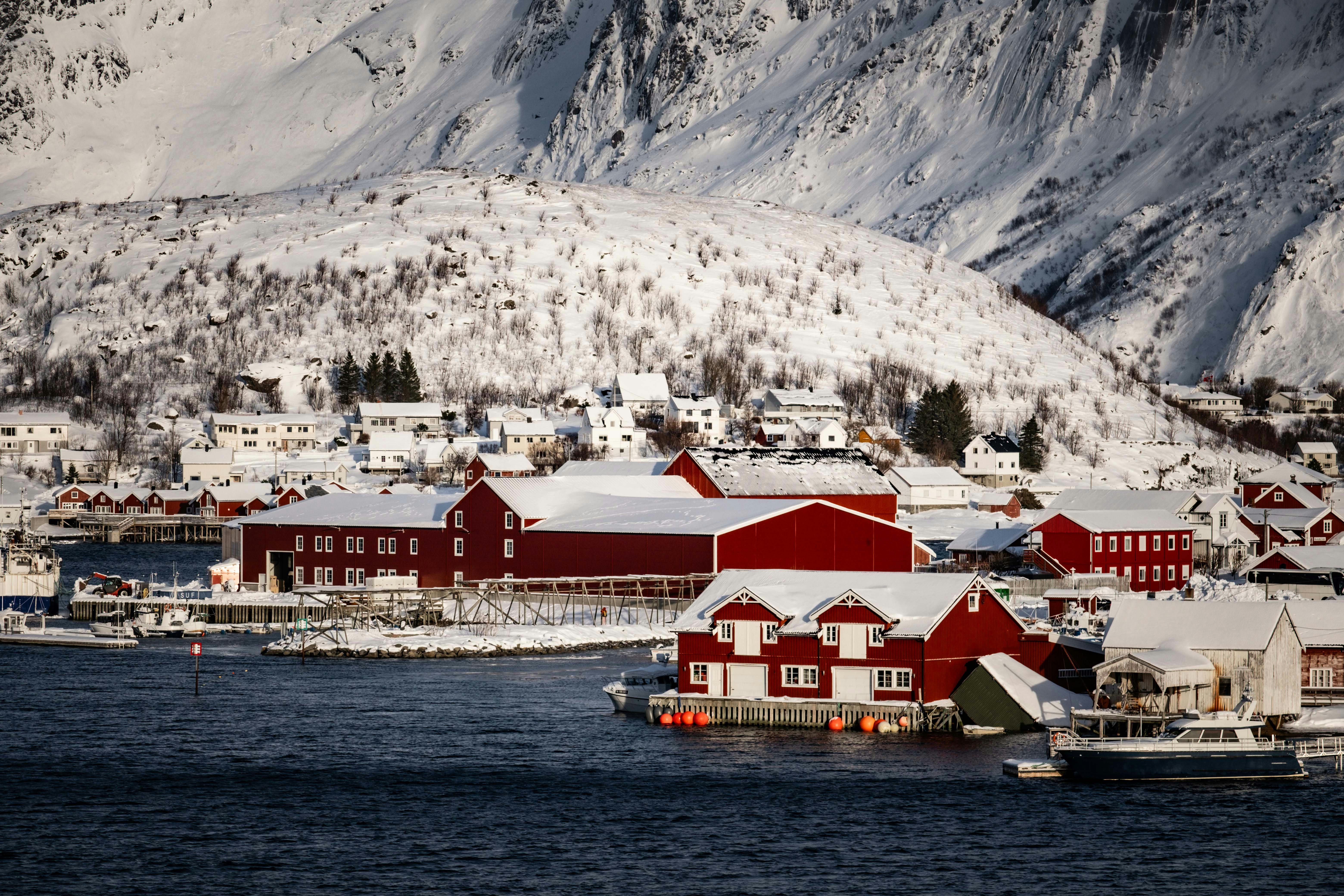 Photo by francesco_ungaro