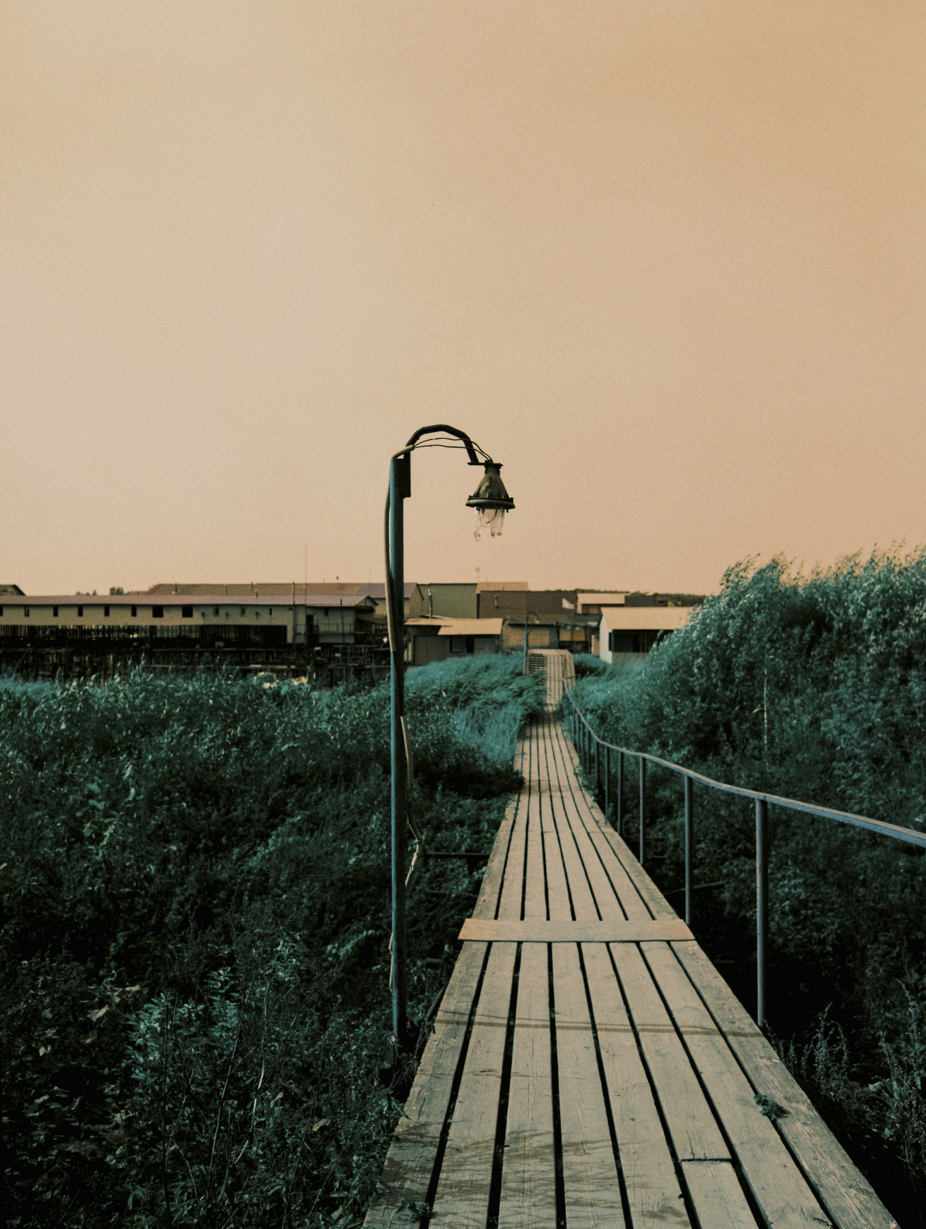 Photo by evil_bumblebee