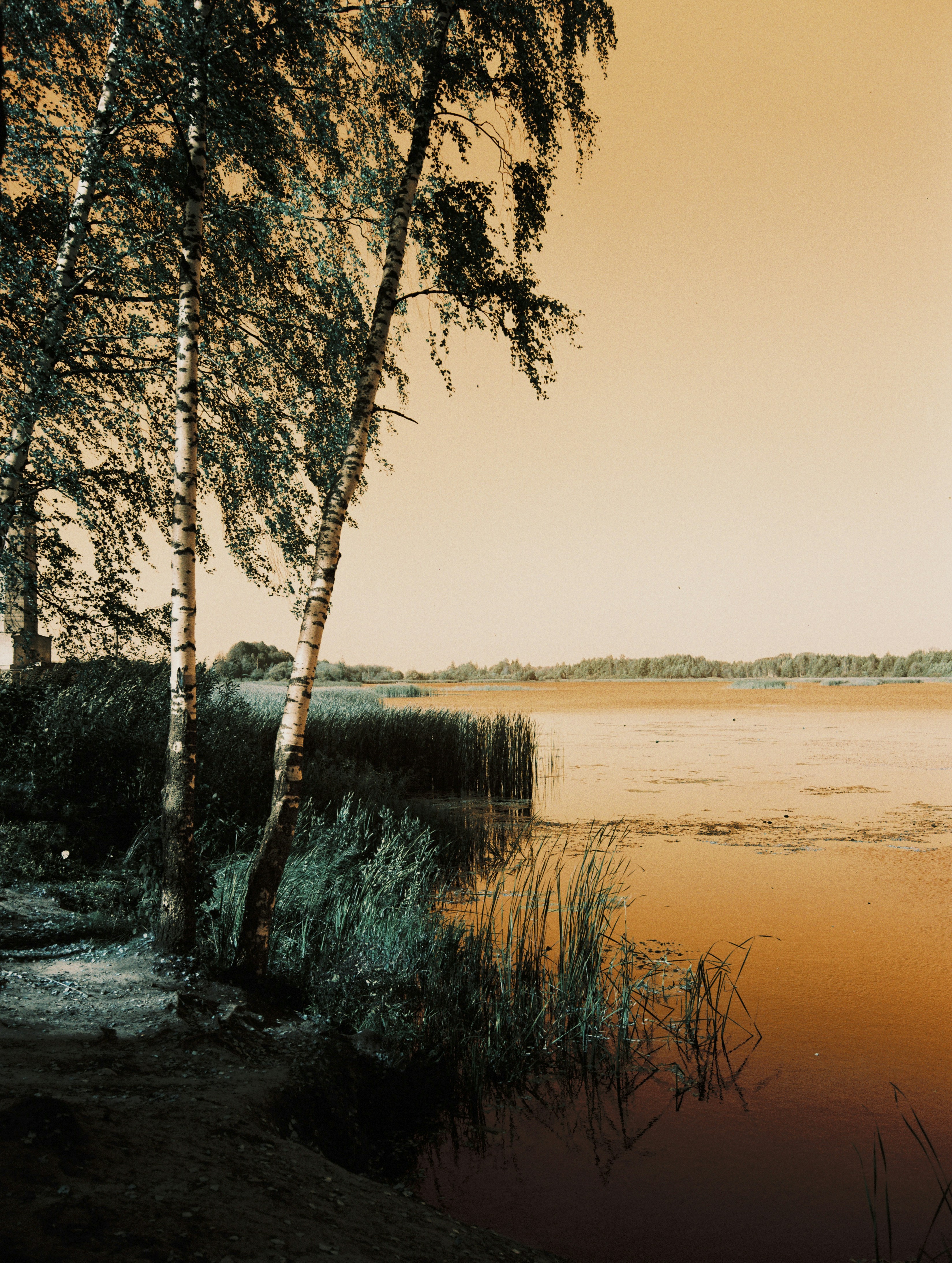 Photo by evil_bumblebee