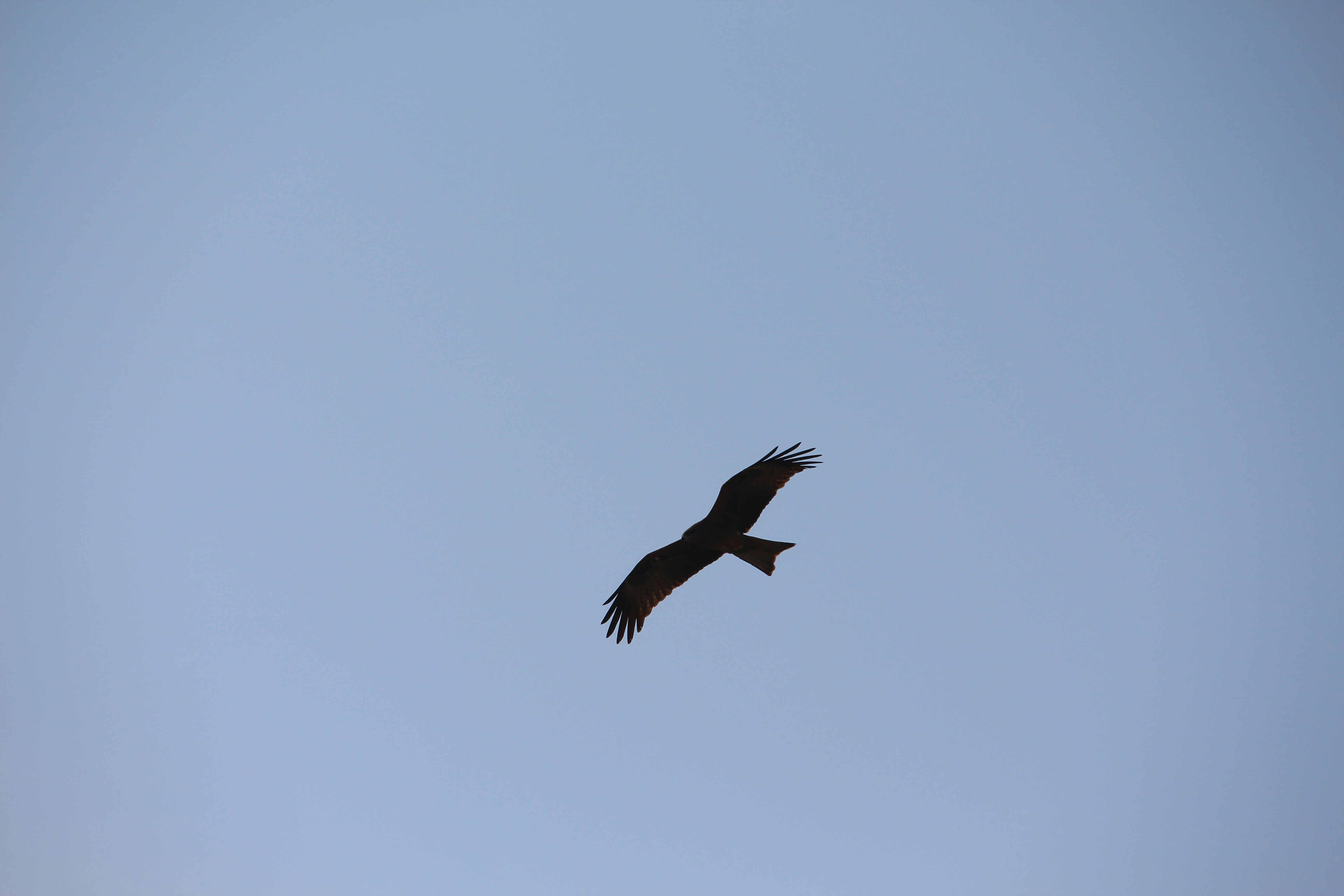 Photo by abdulhameed850