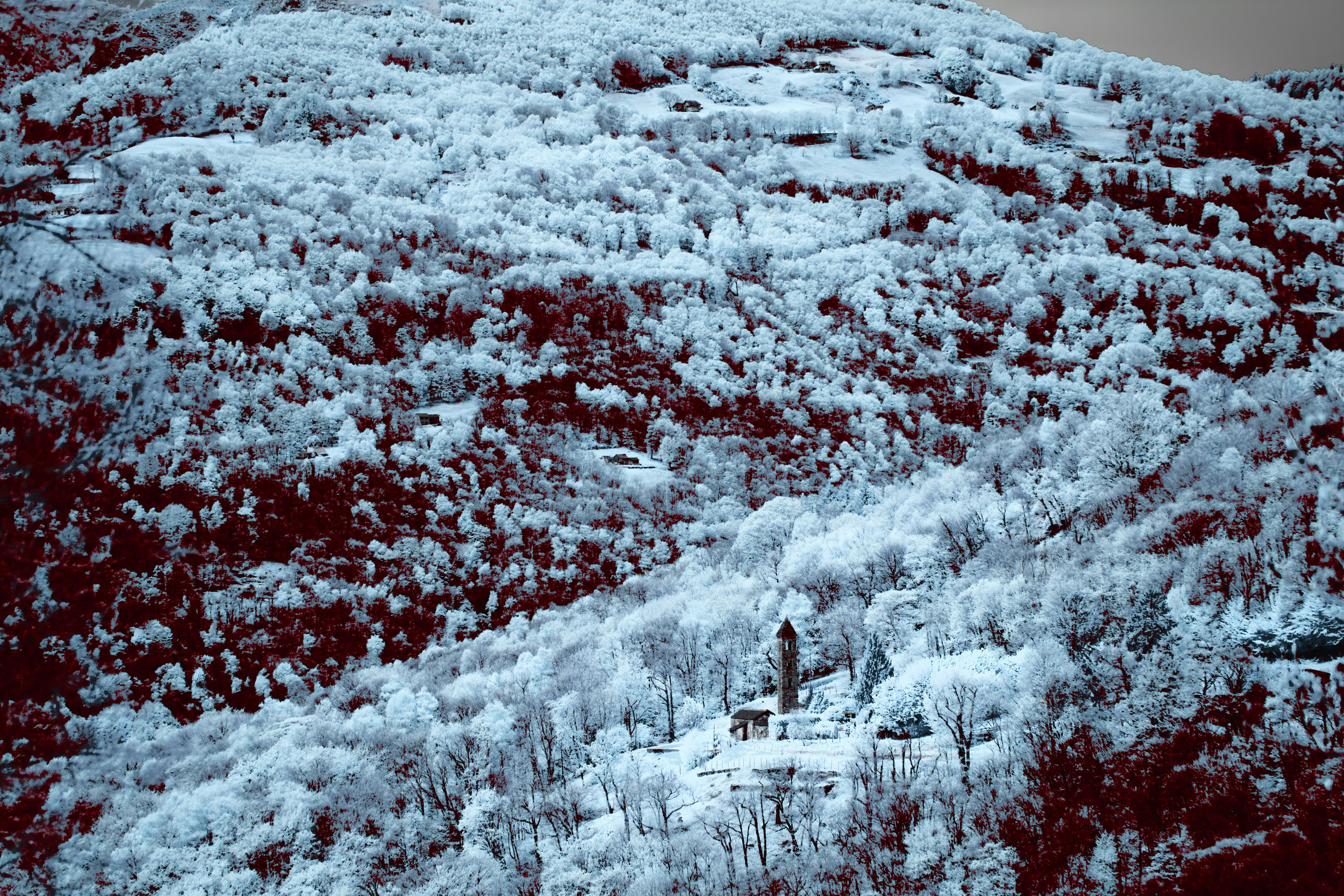 Photo by wolfgang_hasselmann