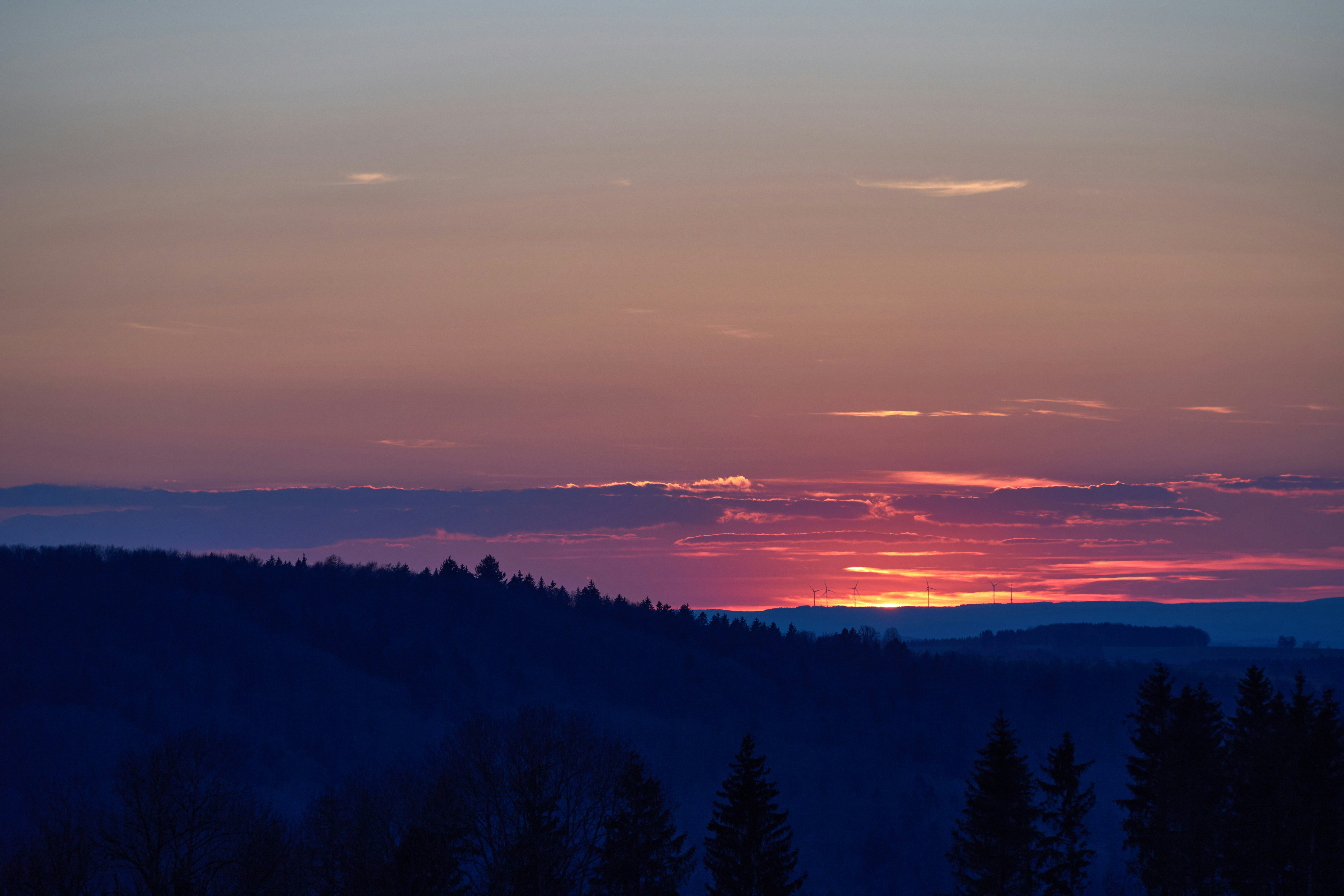 Photo by wolfgang_hasselmann