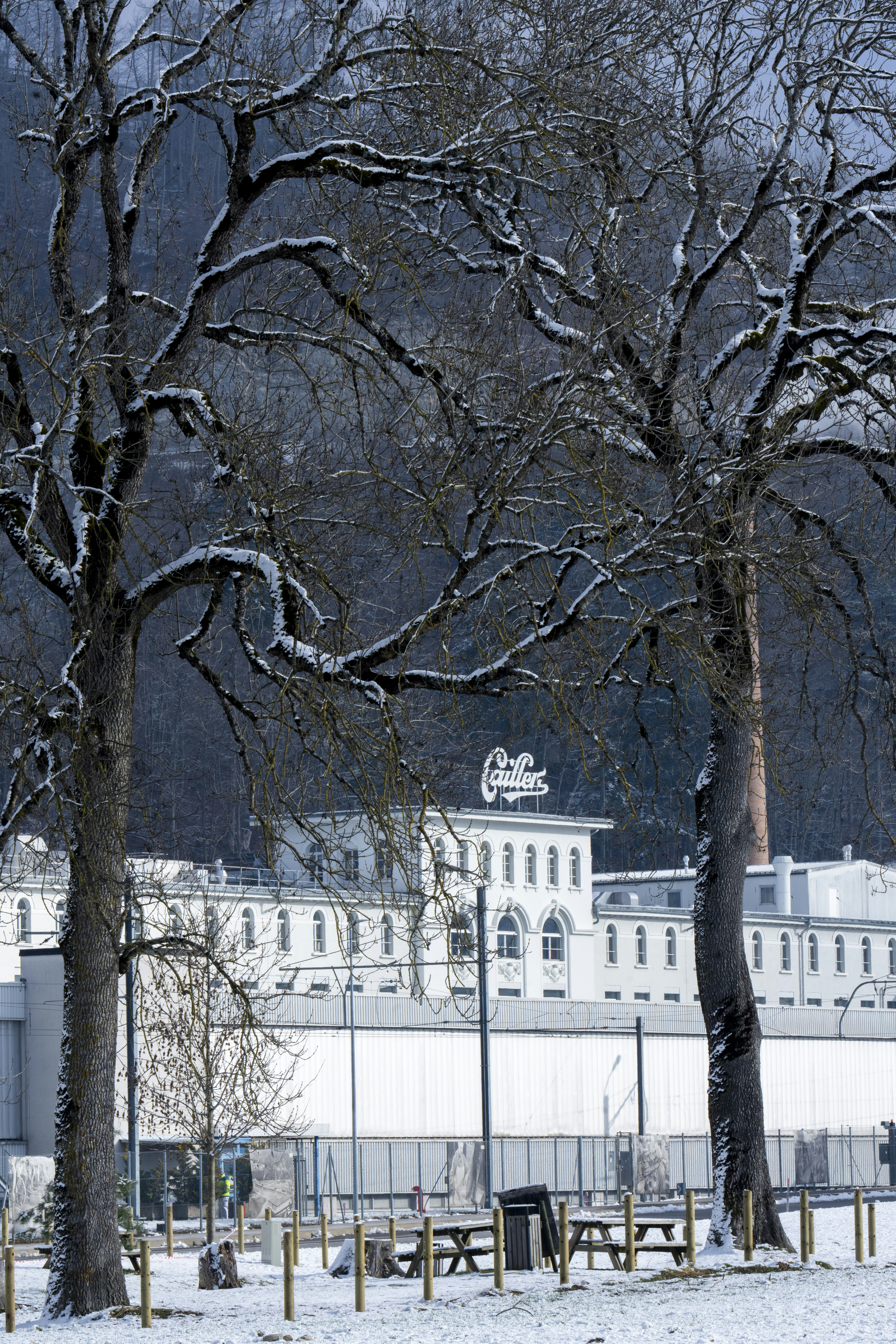 A large white building surrounded by trees covered in snow