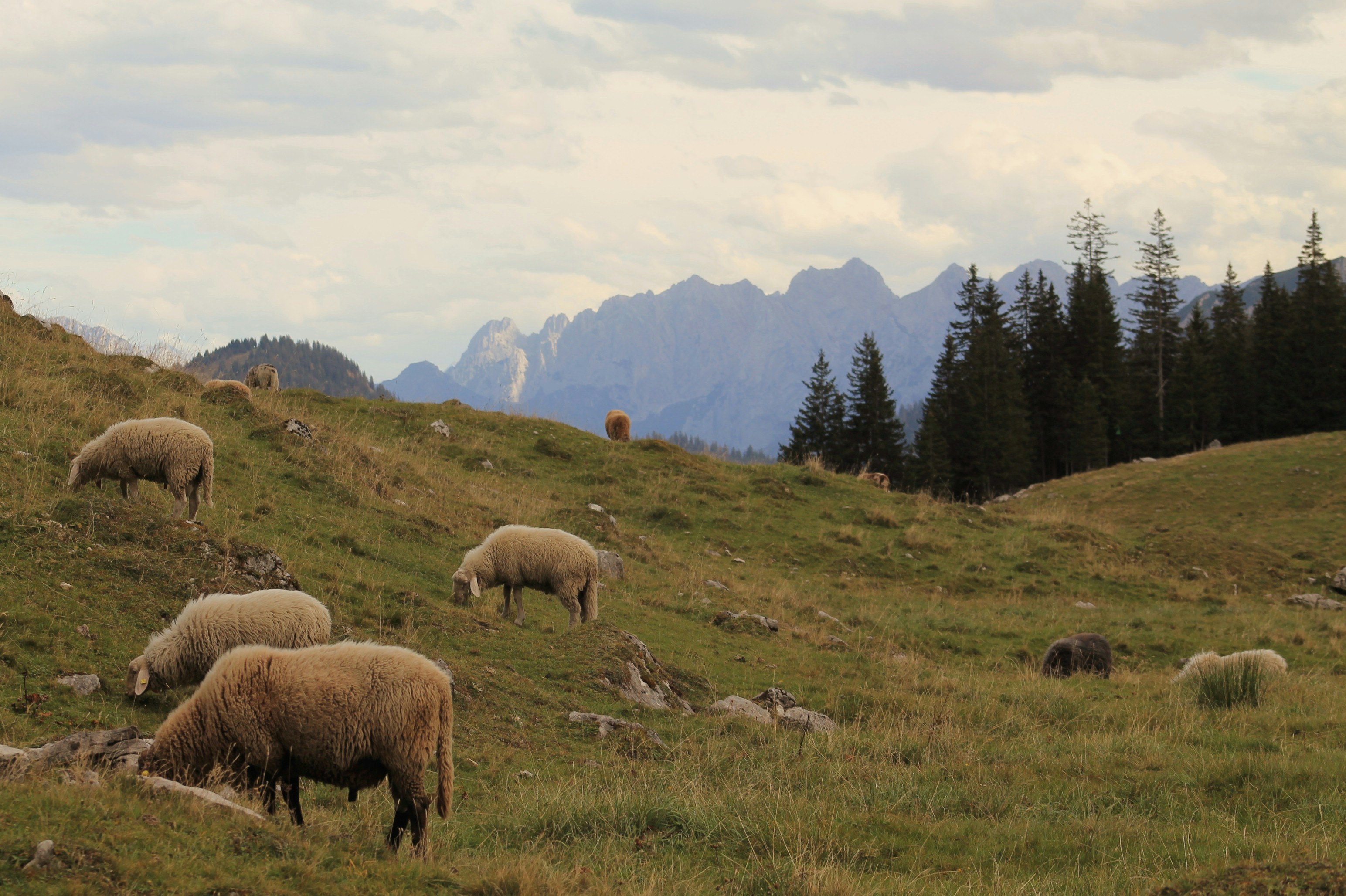 Photo by pixelwavephotography