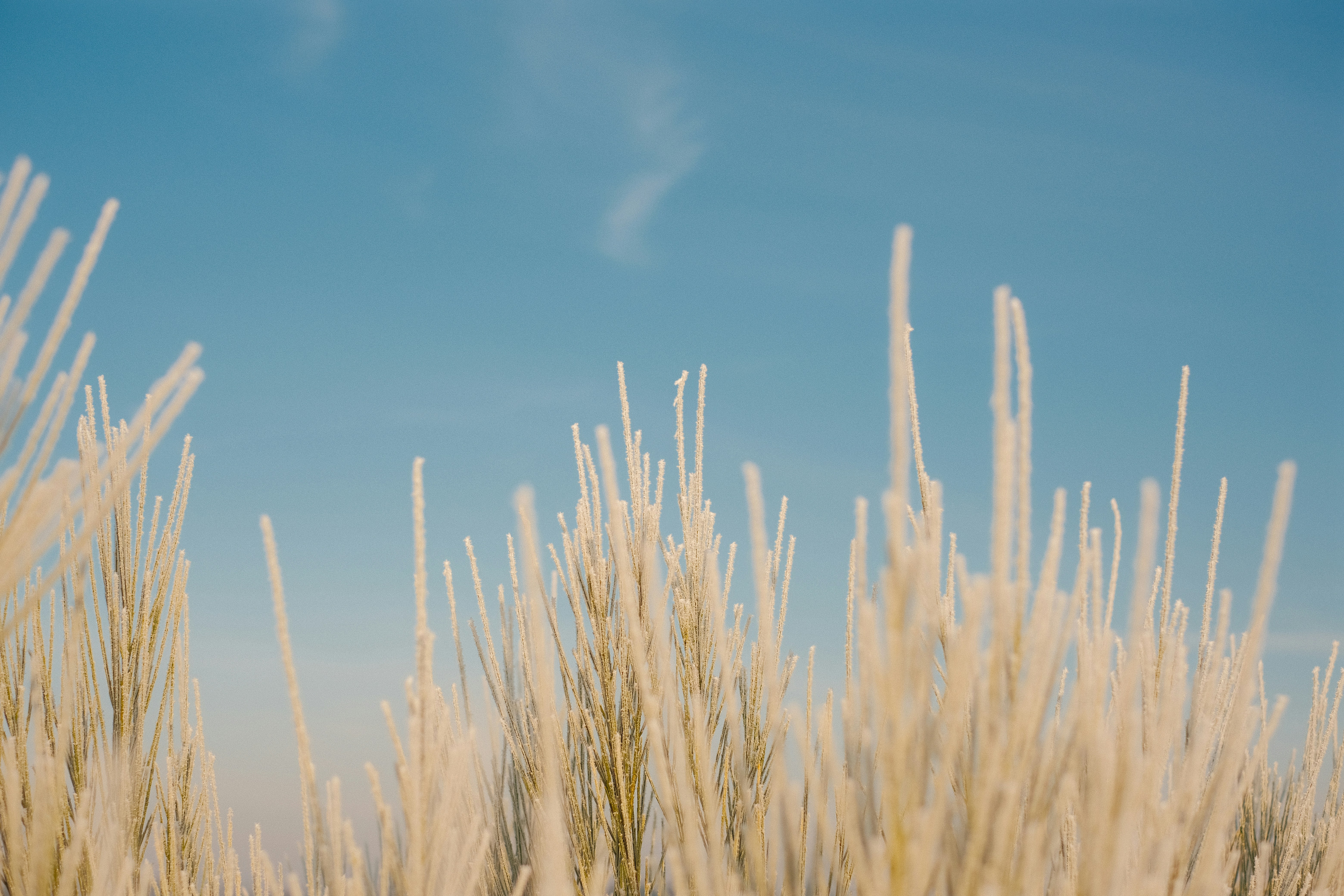 Photo by visualsbying