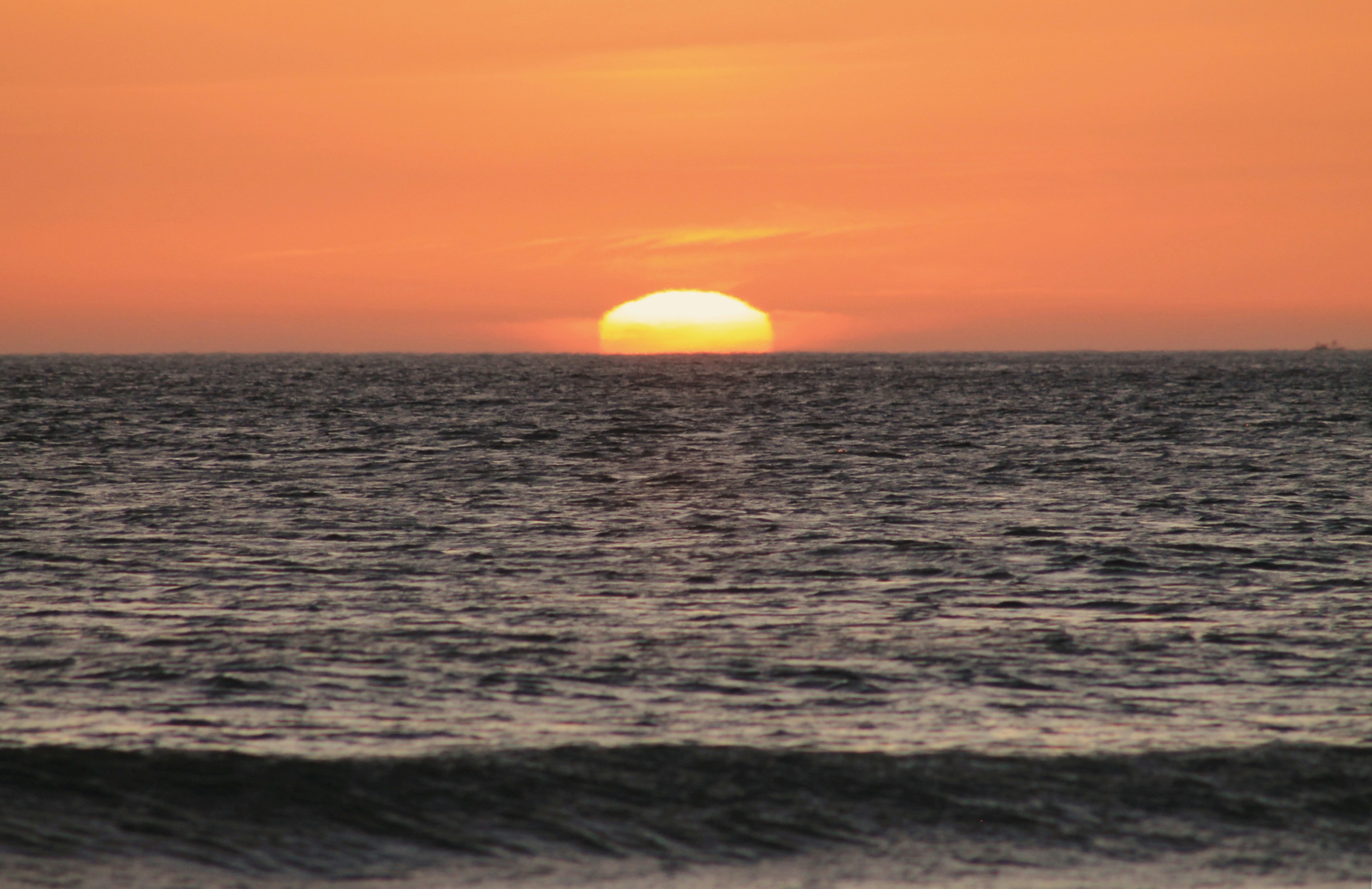 Photo by pixelwavephotography