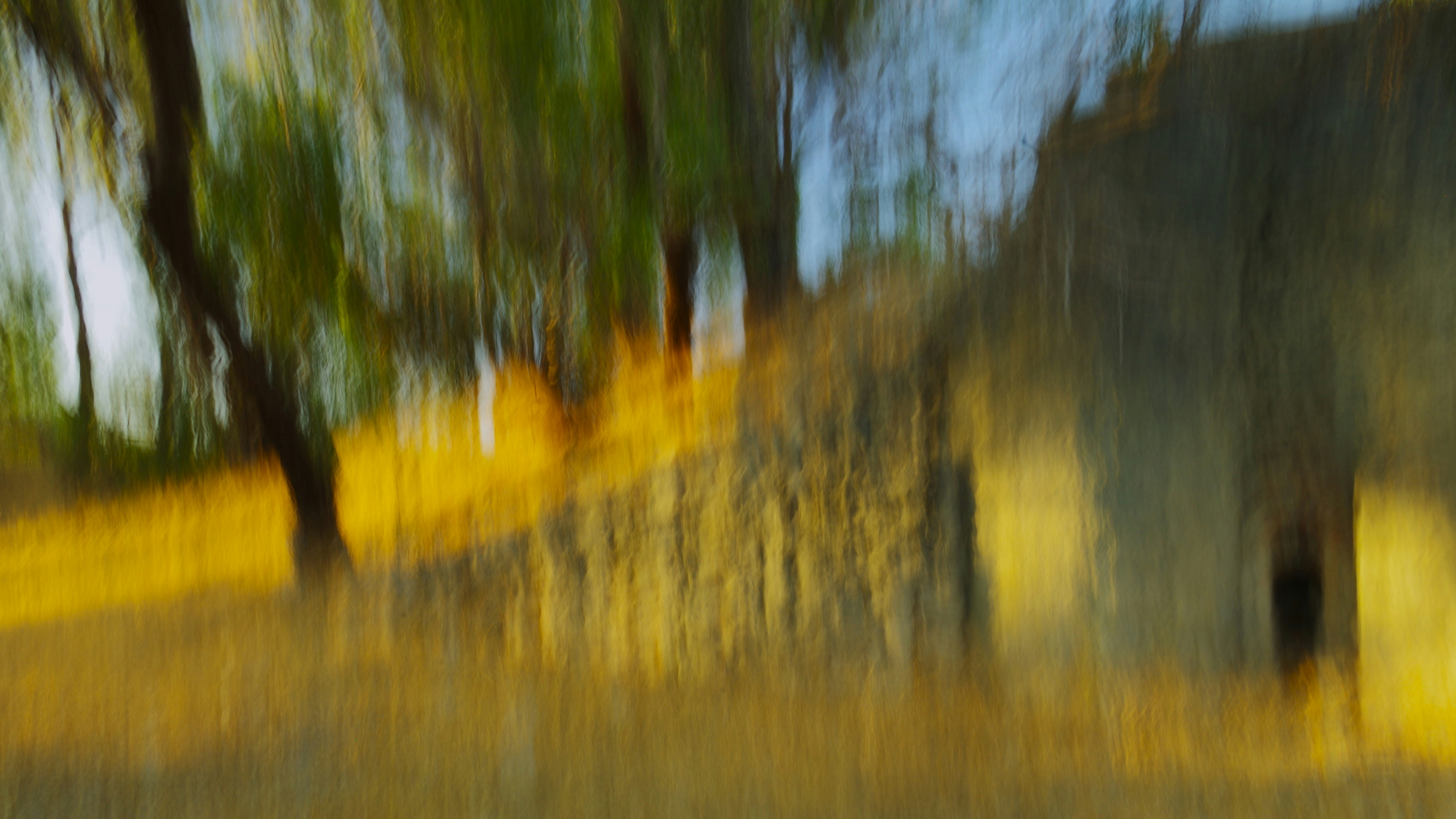 Photo by photoken123