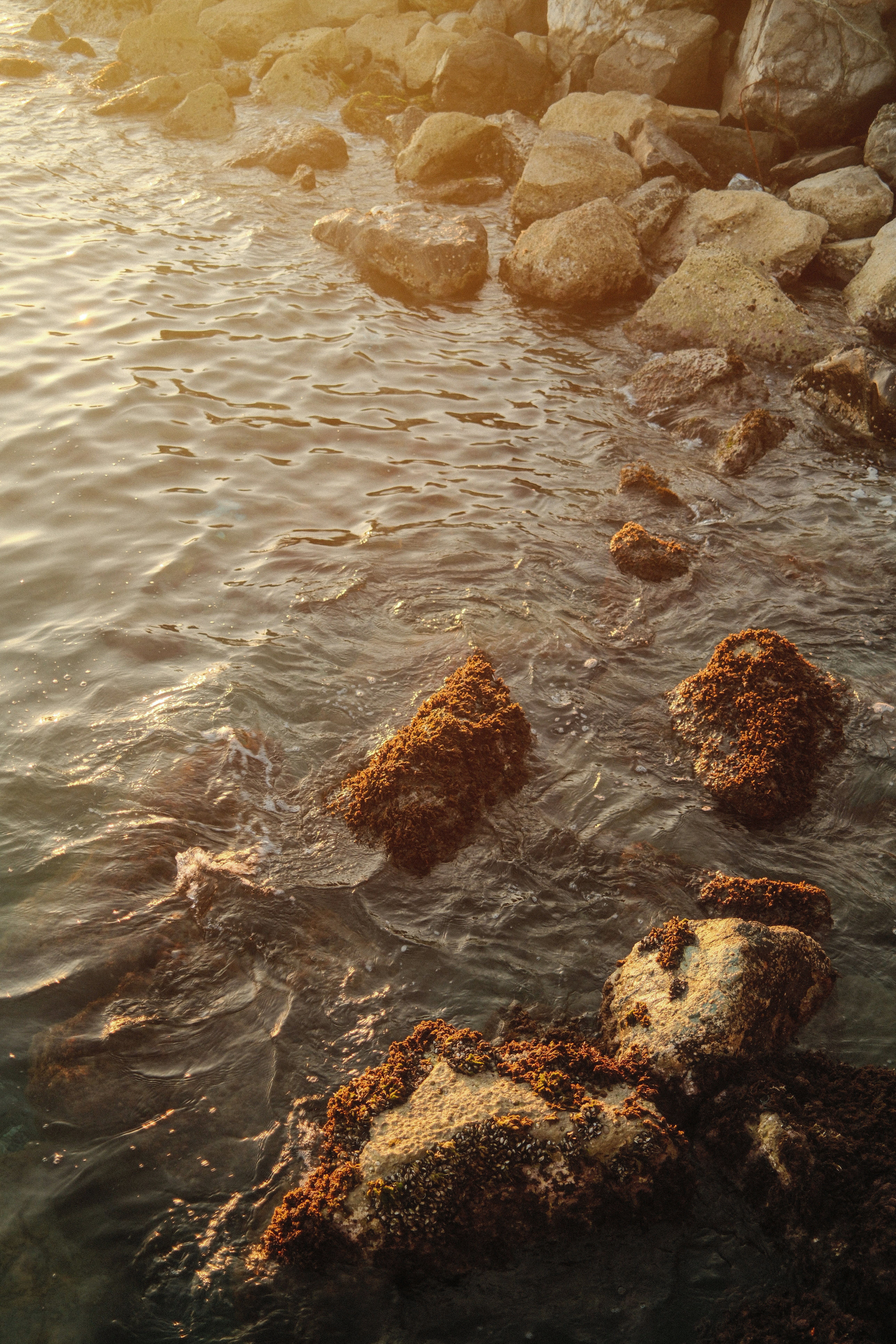 Ein Gewässer mit Steinen darin
