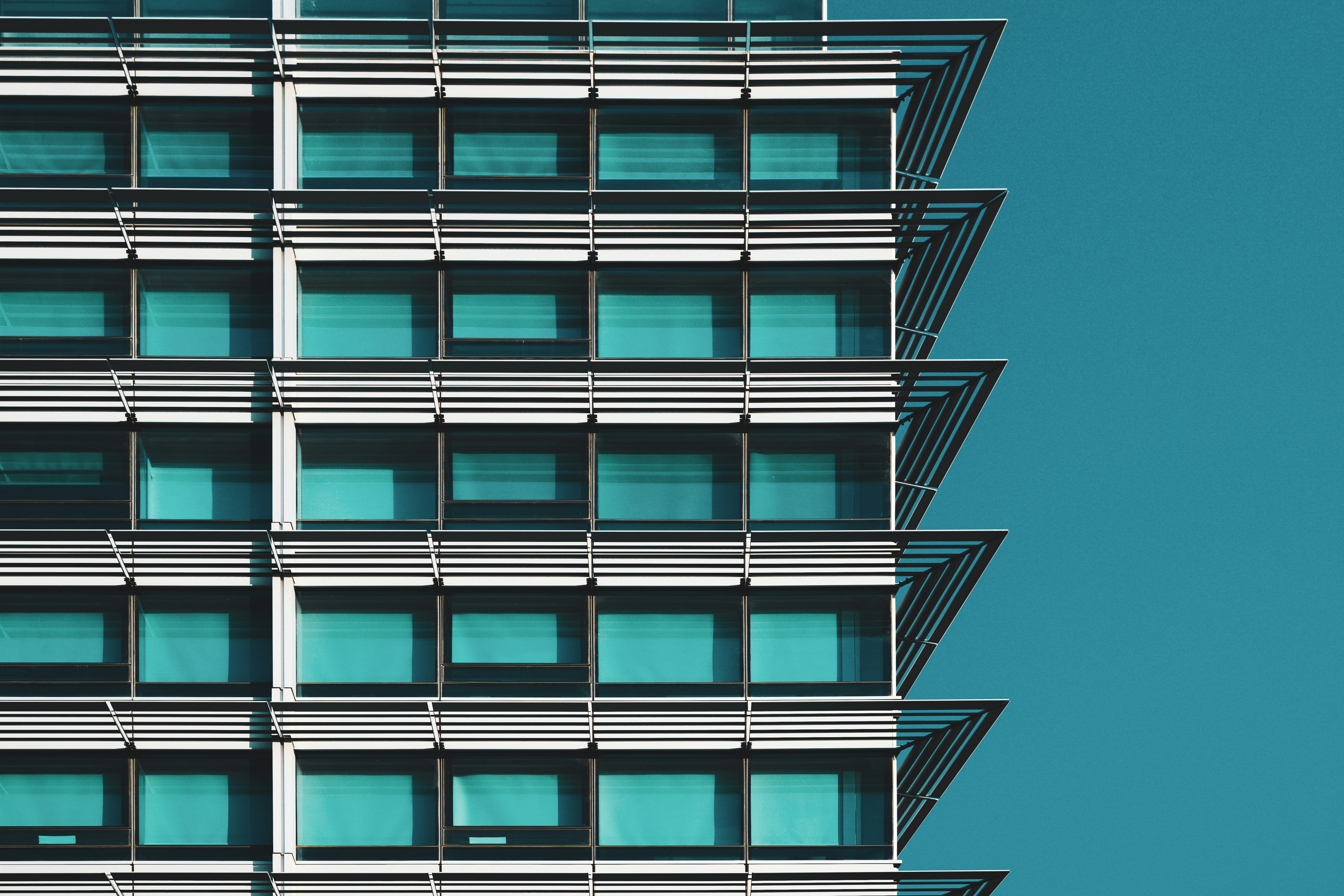 Photo by jang_jungnam