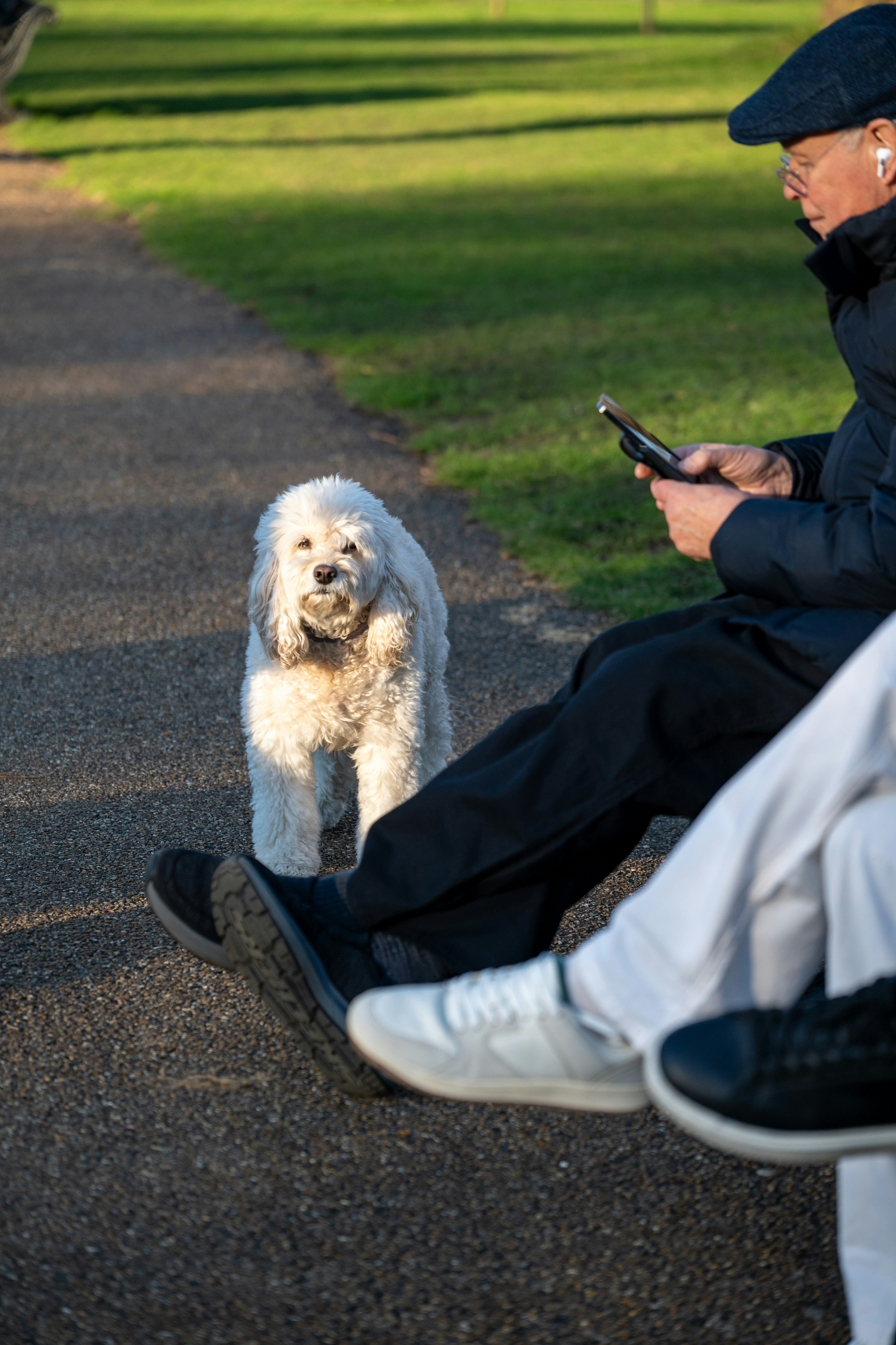 A man sitting on a bench next to a dog