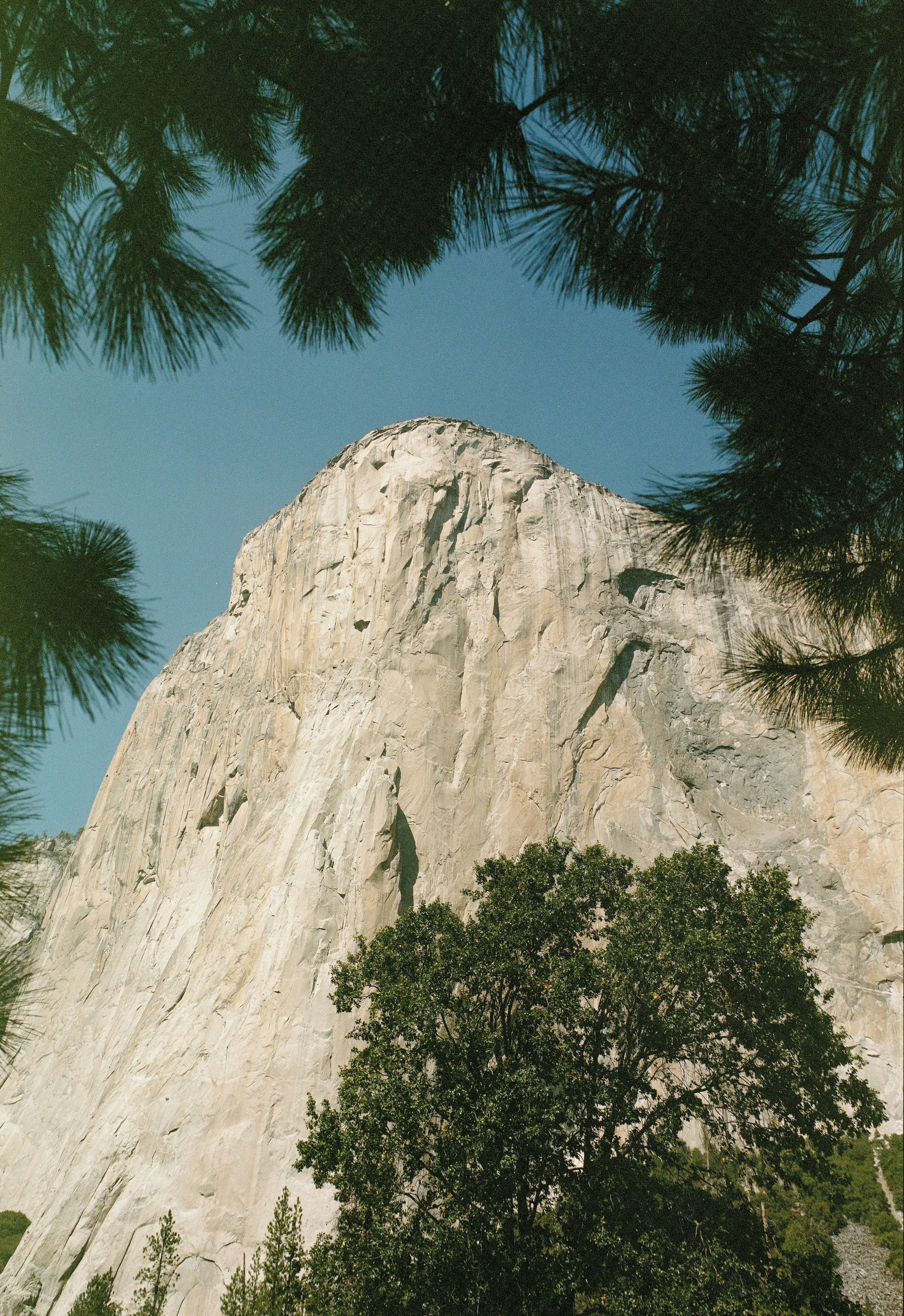 A tall mountain towering over a forest filled with trees