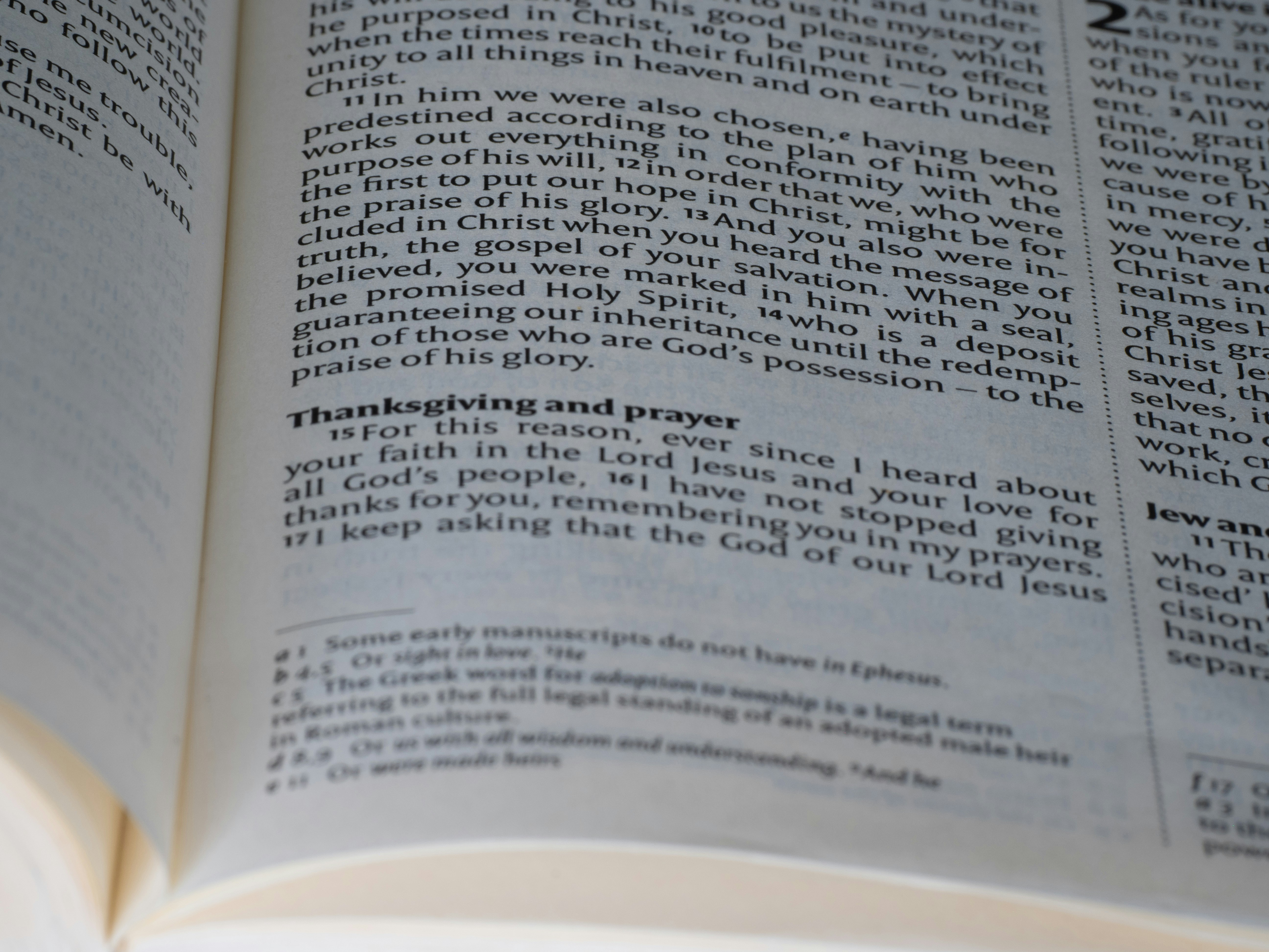 Photo by brett_jordan