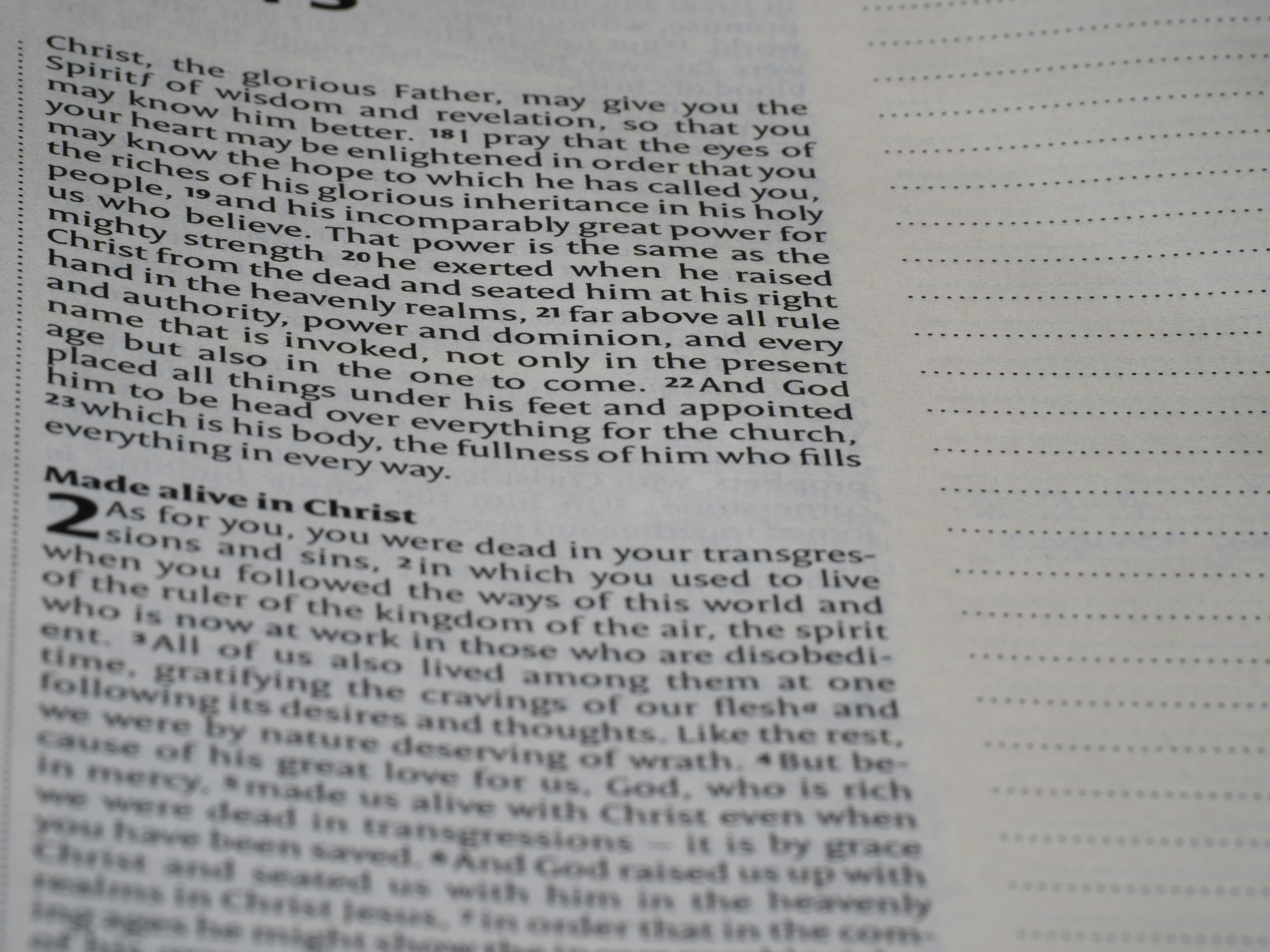 Photo by brett_jordan