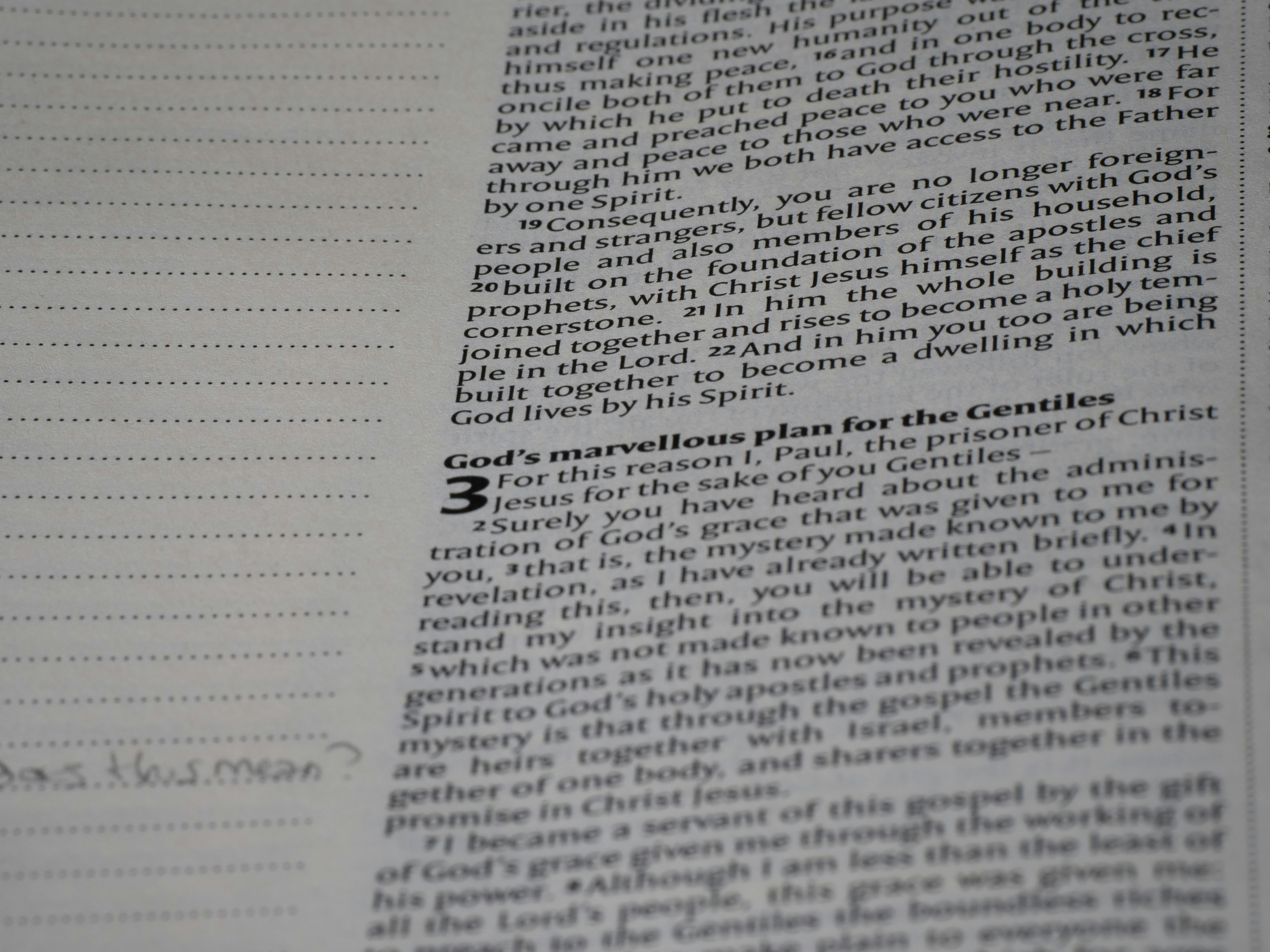 Photo by brett_jordan