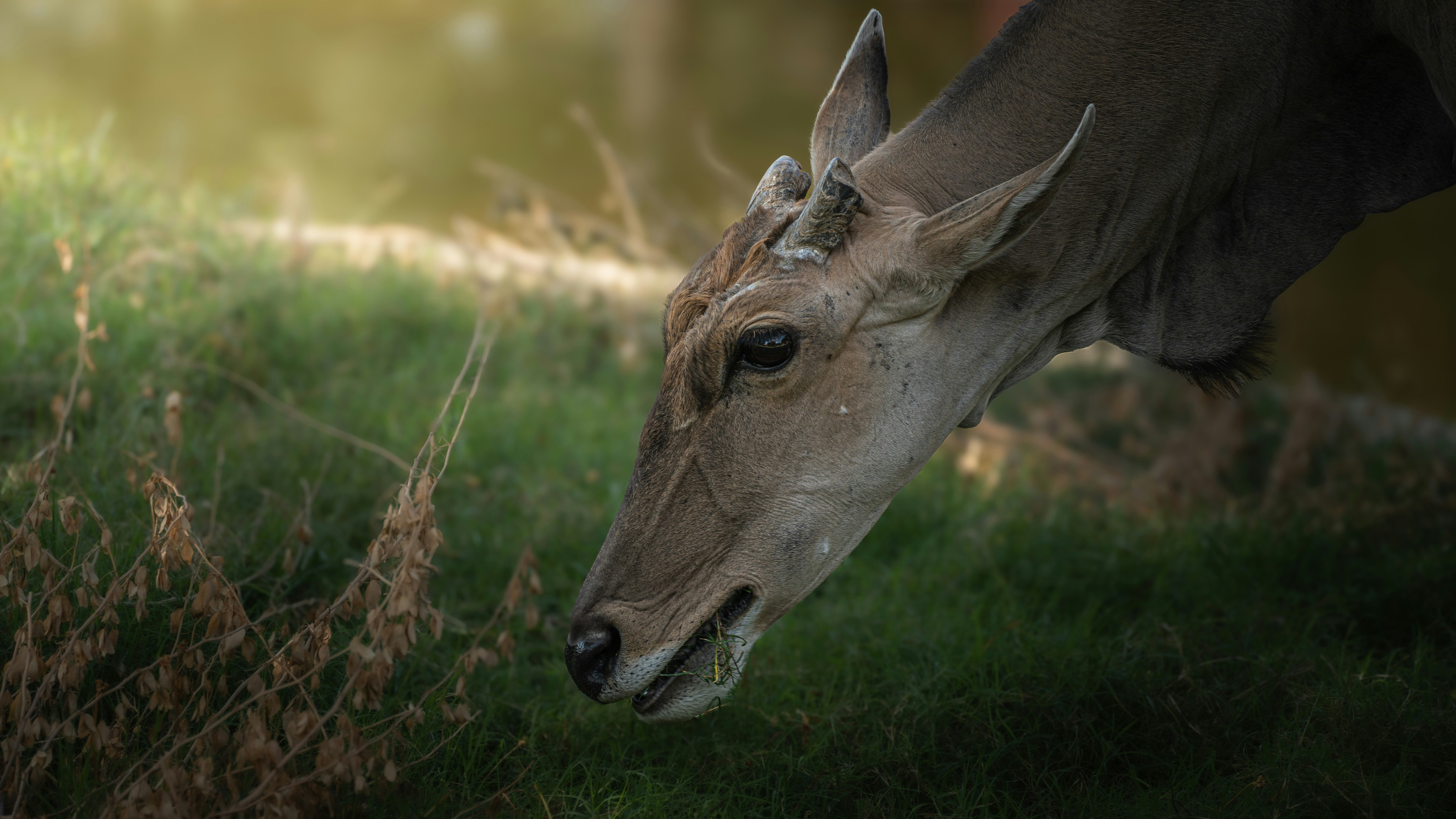 Photo by thejaswinramesh