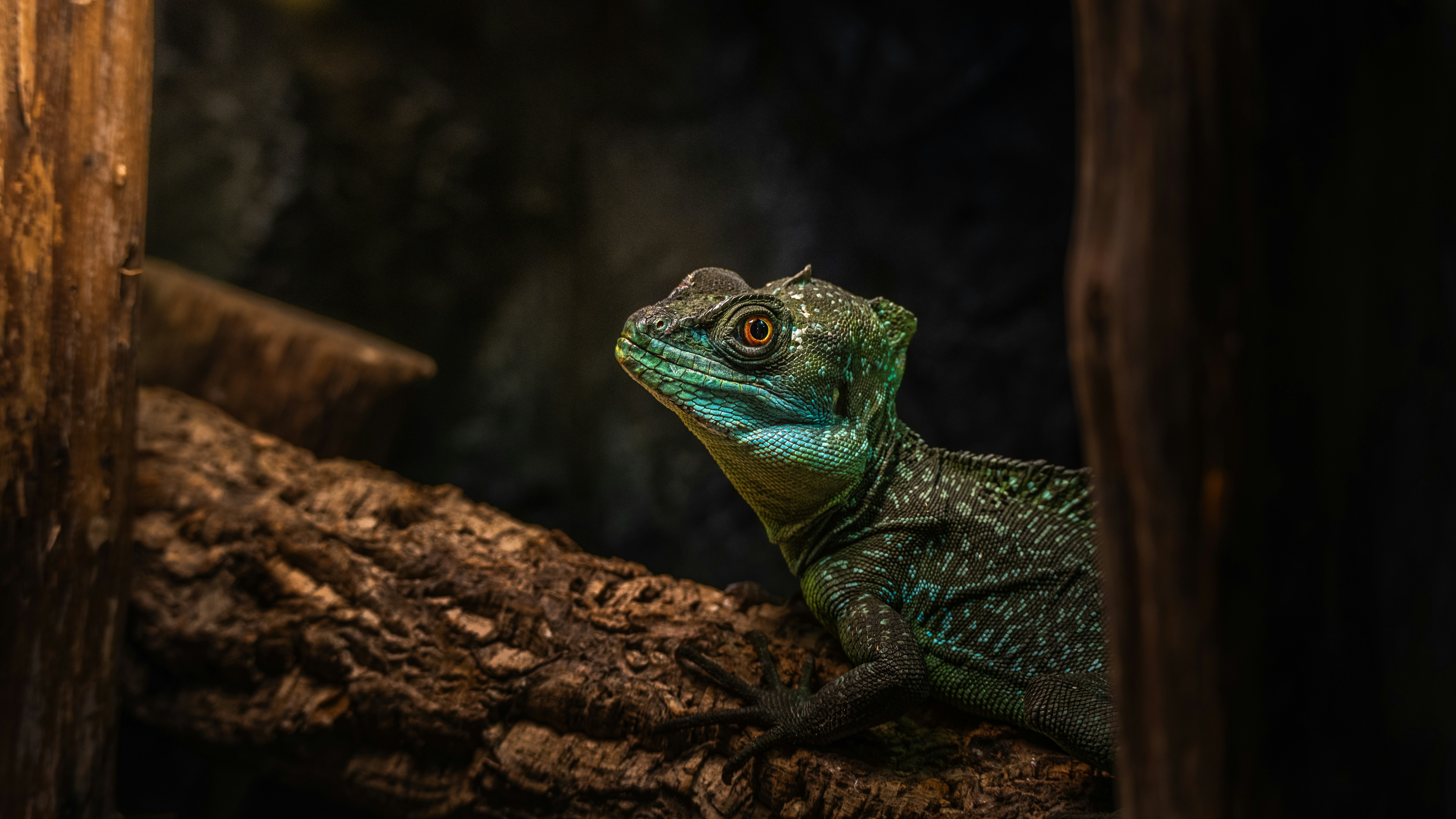 Photo by thejaswinramesh