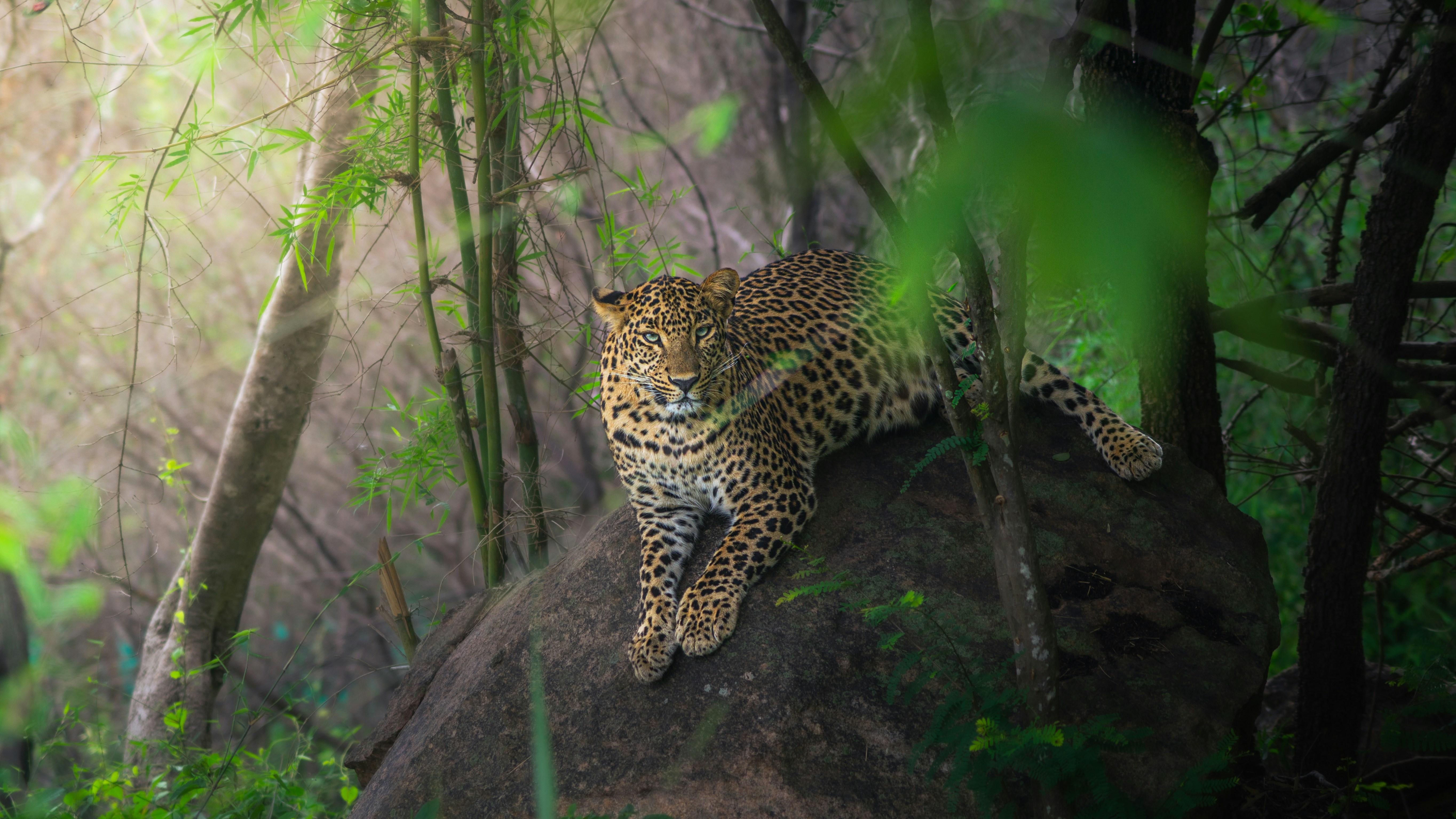 Photo by thejaswinramesh