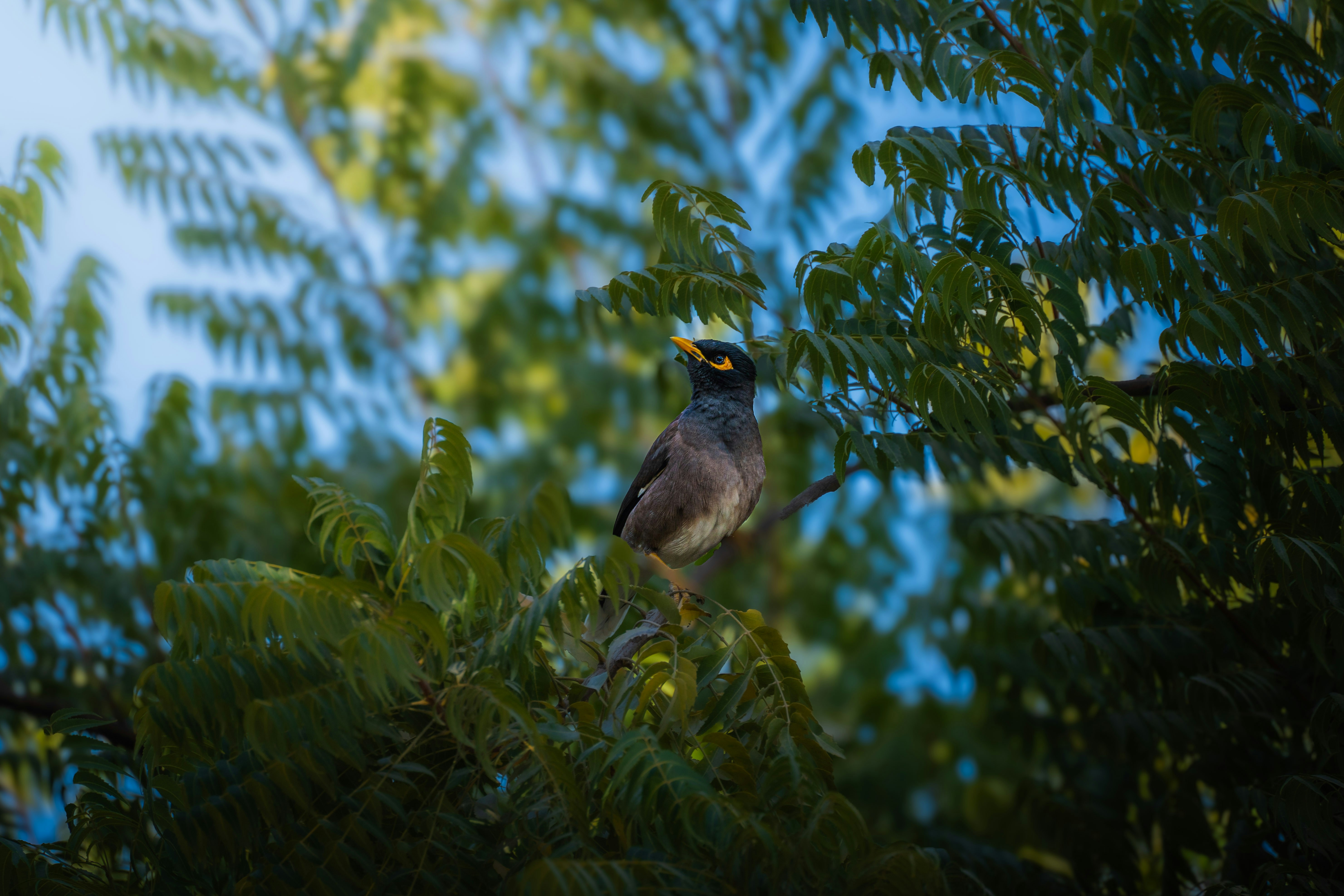 Photo by thejaswinramesh