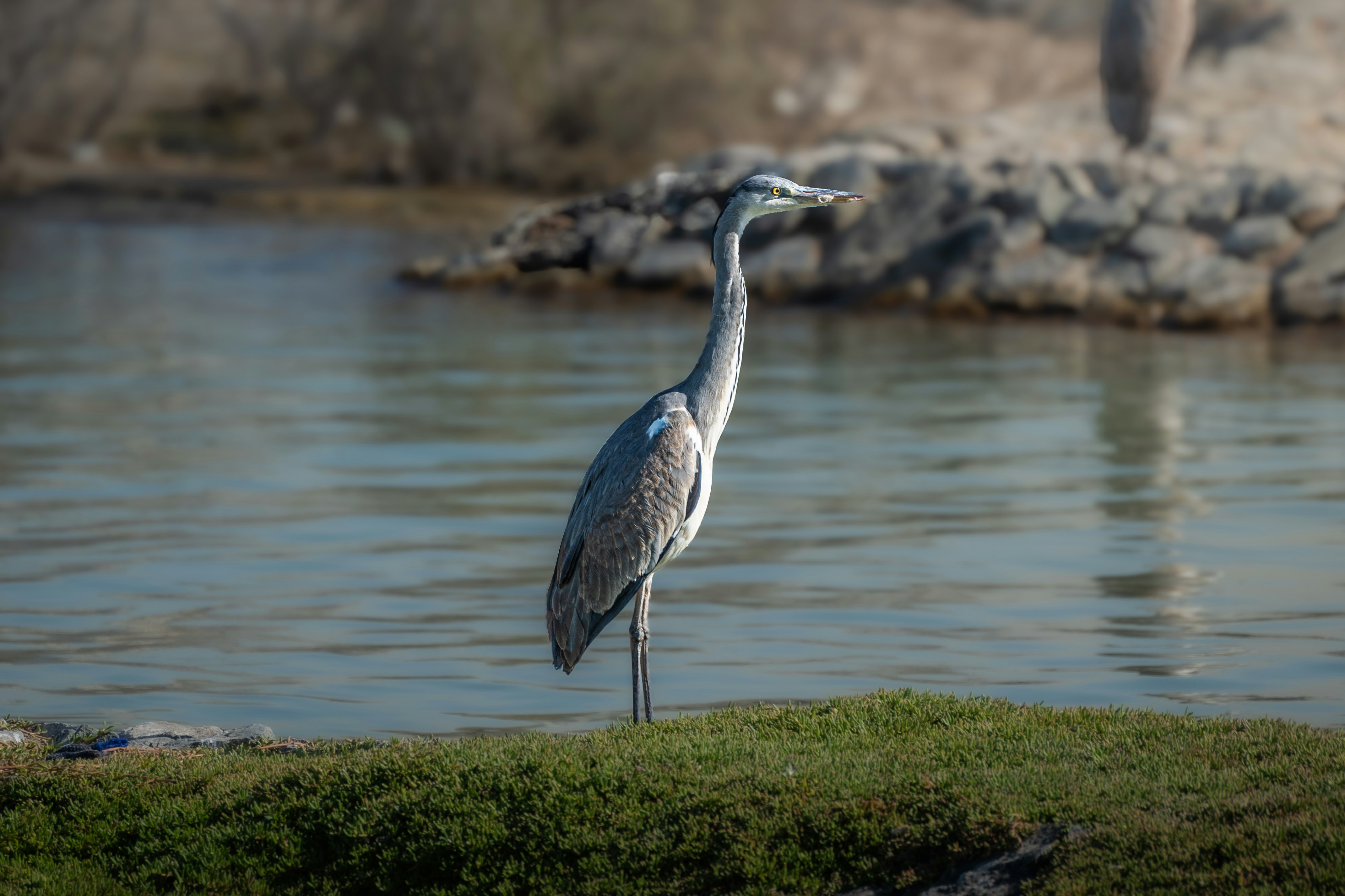 Photo by thejaswinramesh