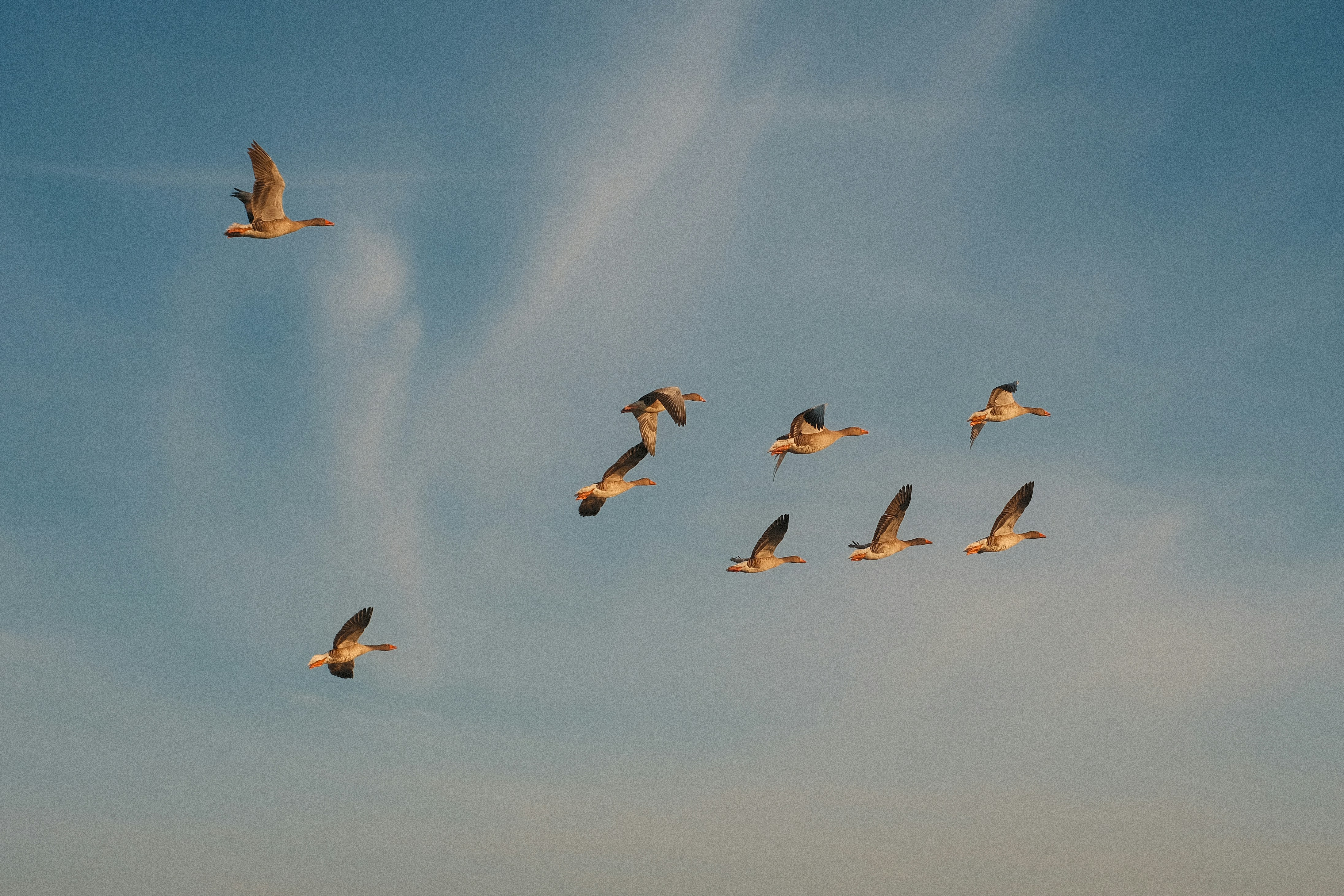 Photo by visualsbying